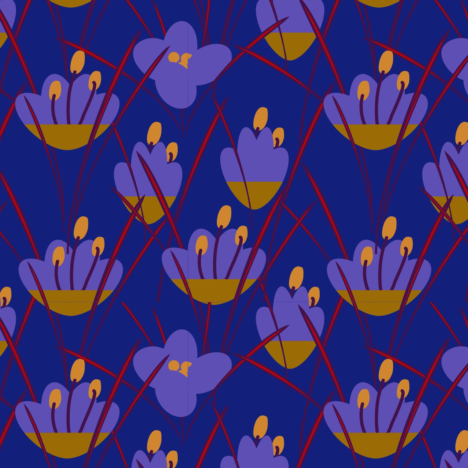 crocus purple.jpg