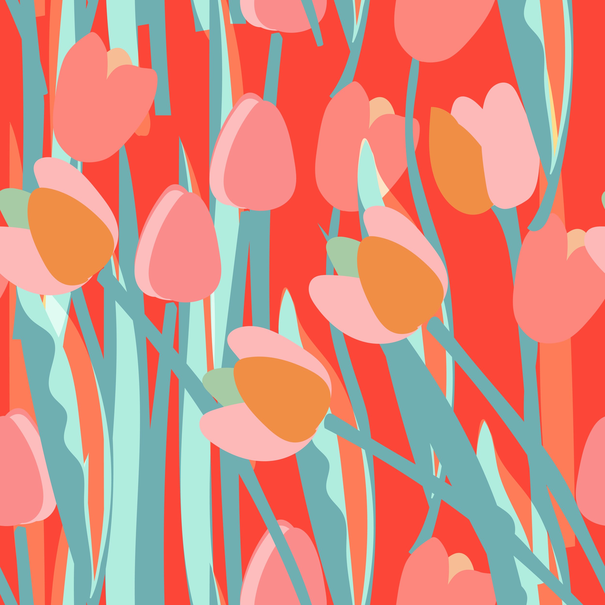 Tulip 3-01.jpg