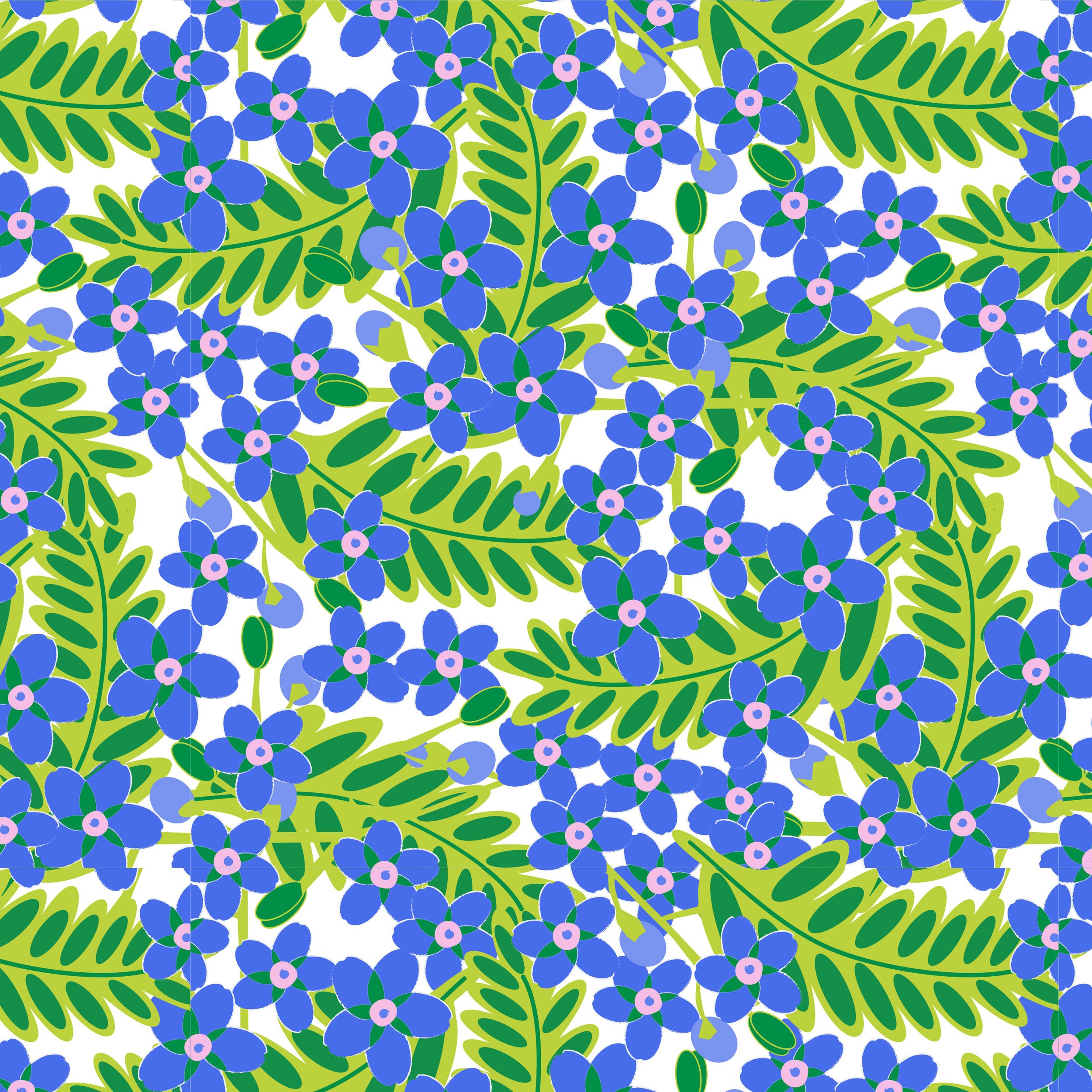 Larkspur.1.jpg