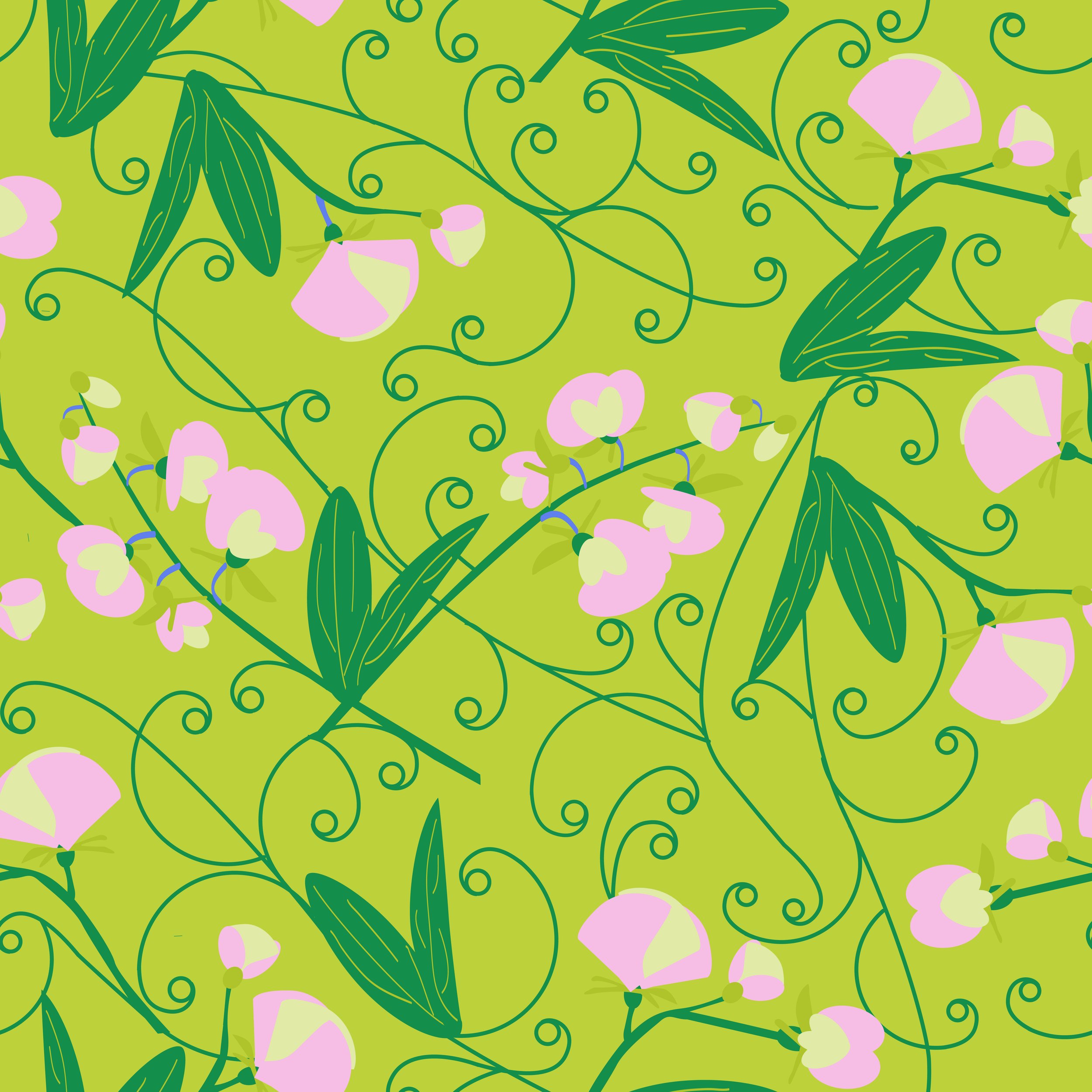 Sweet pea.4.jpg