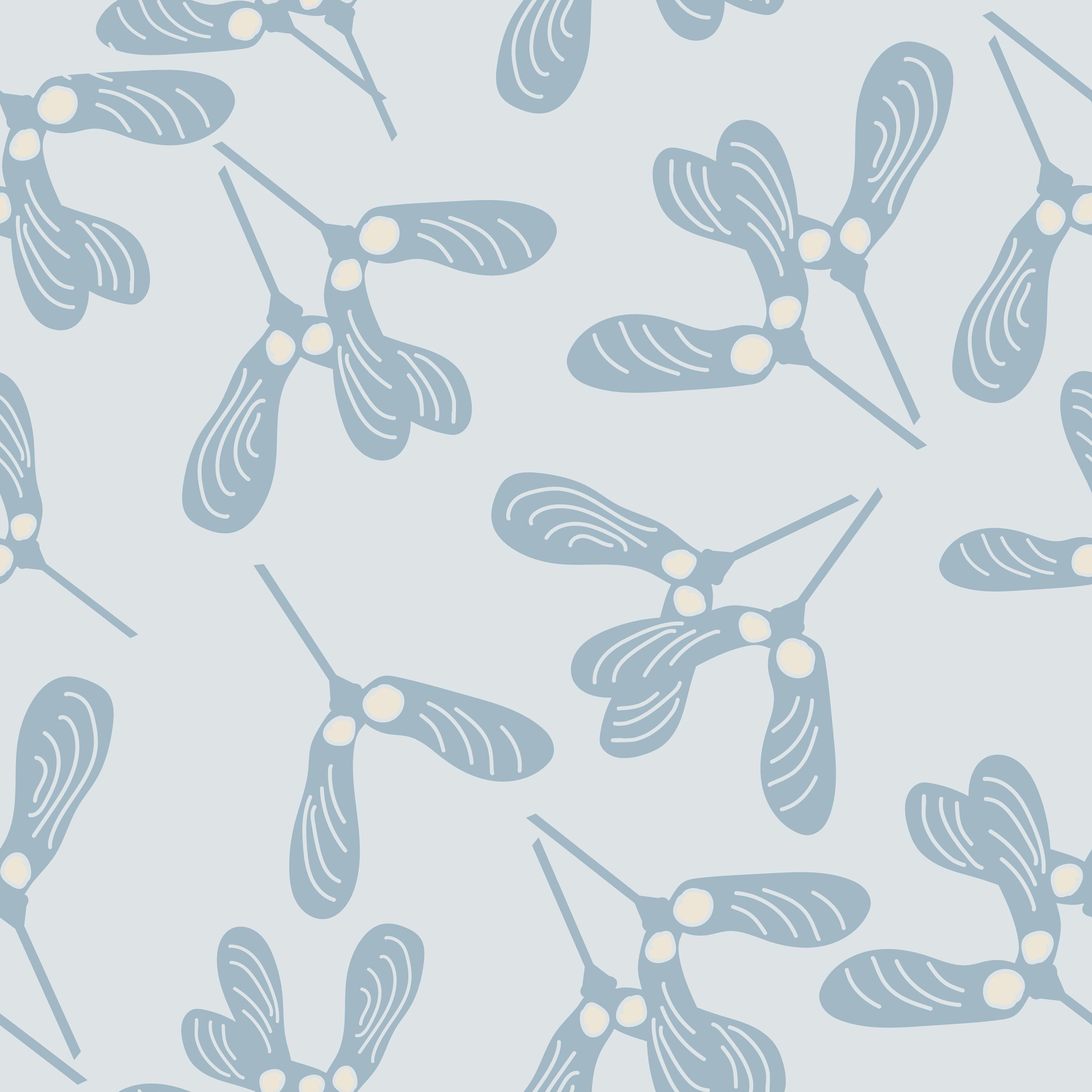 Maple seeds.1.jpg