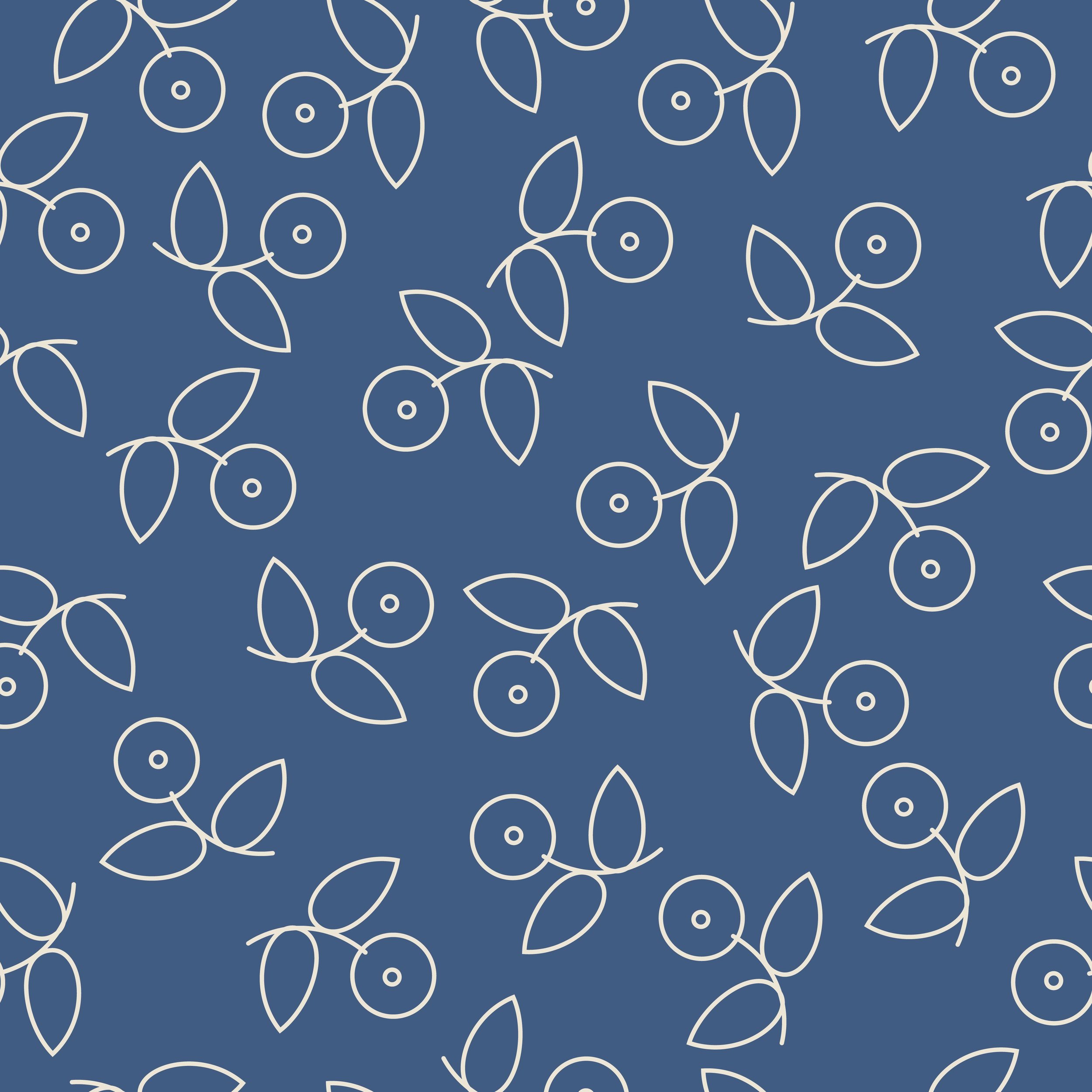 blue berry sketch.jpg
