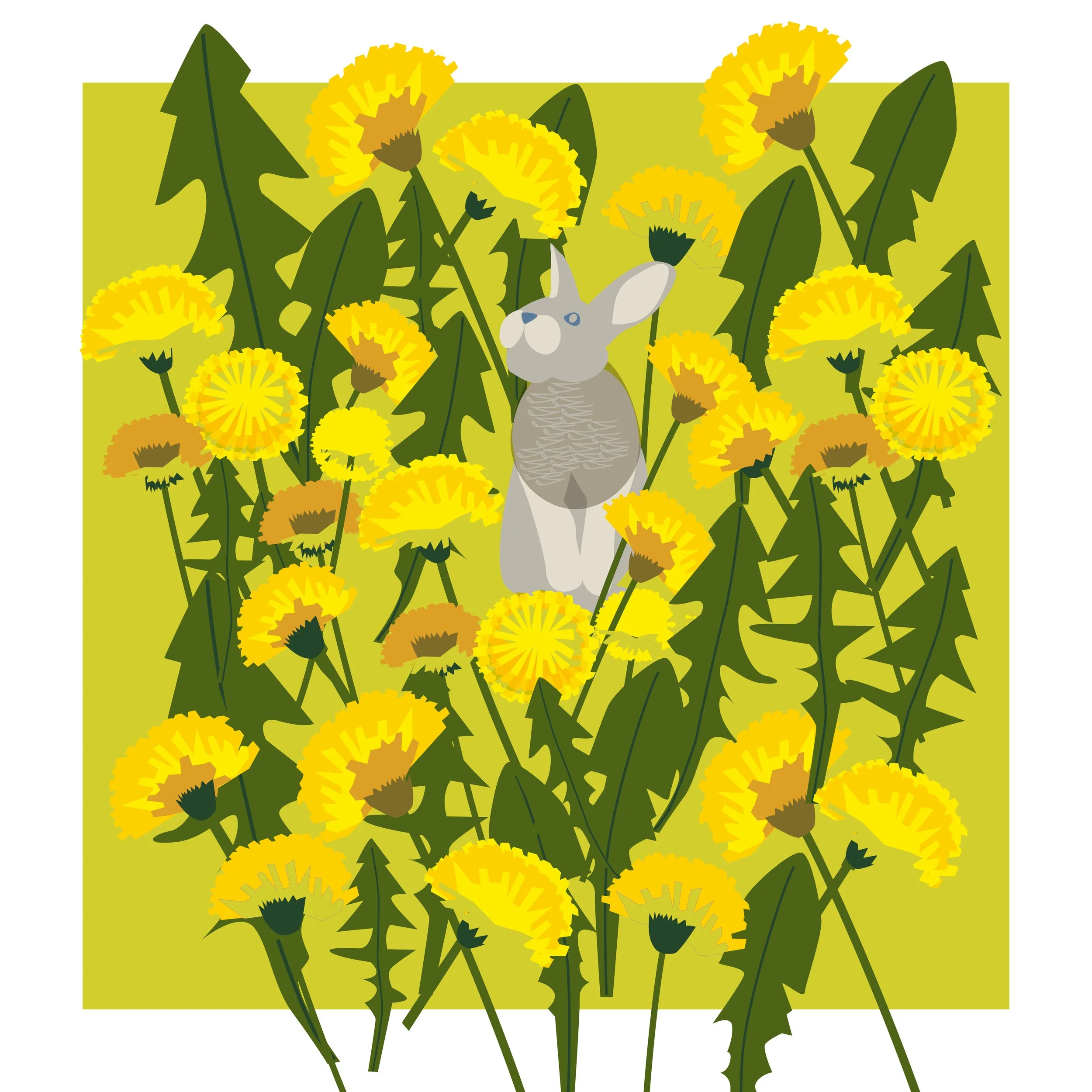 Hare + Dandelion.jpg