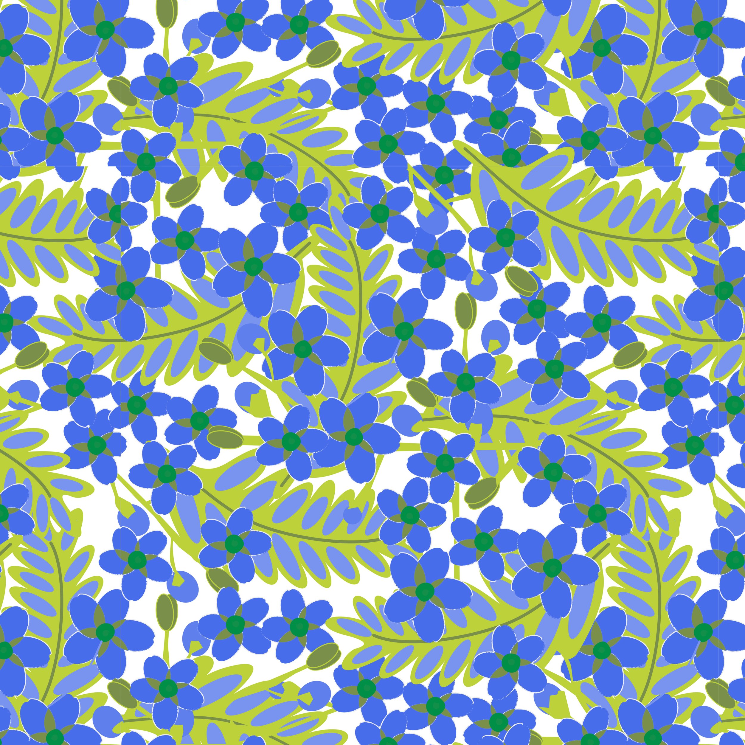 Larkspur.4.jpg