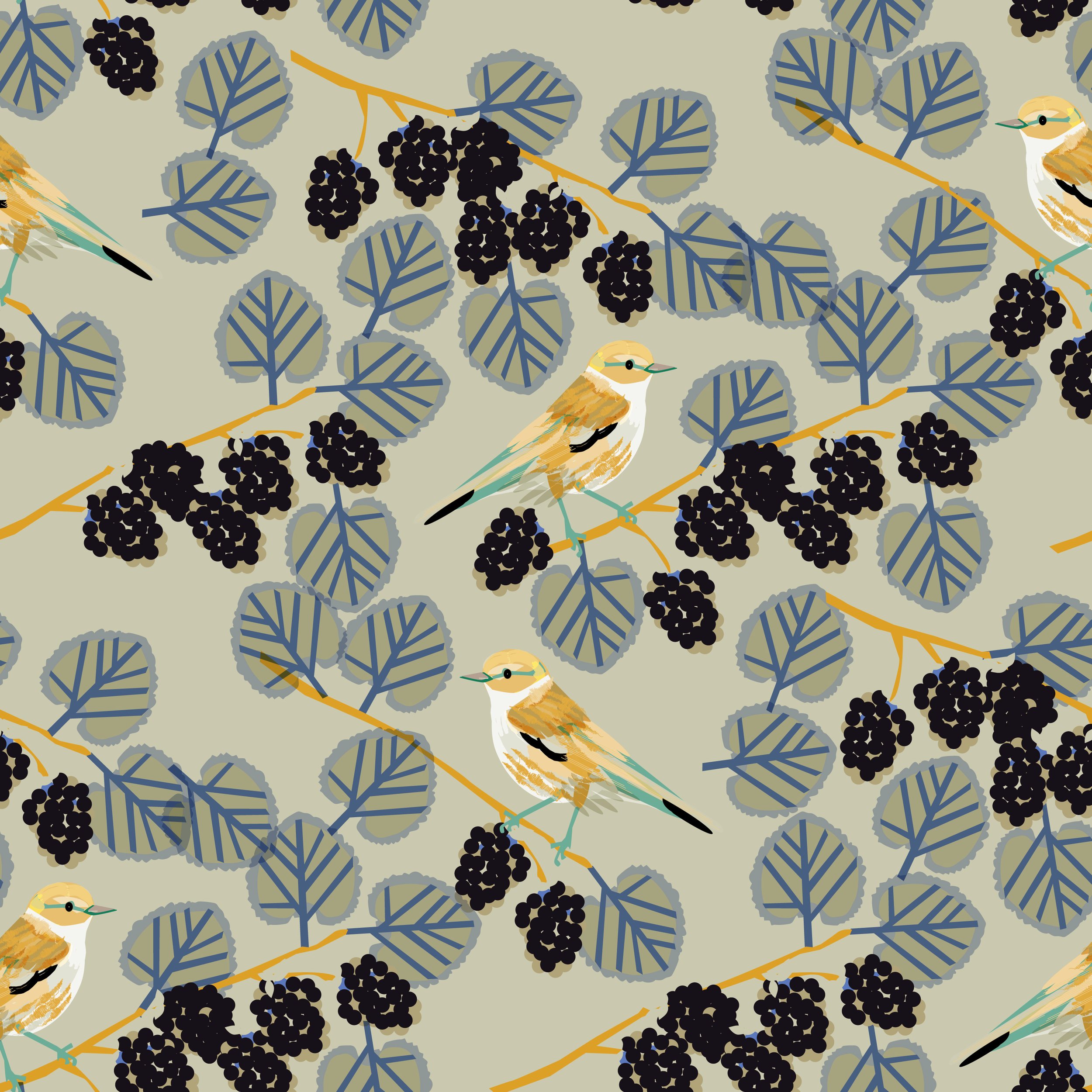 Summer Bird.jpg