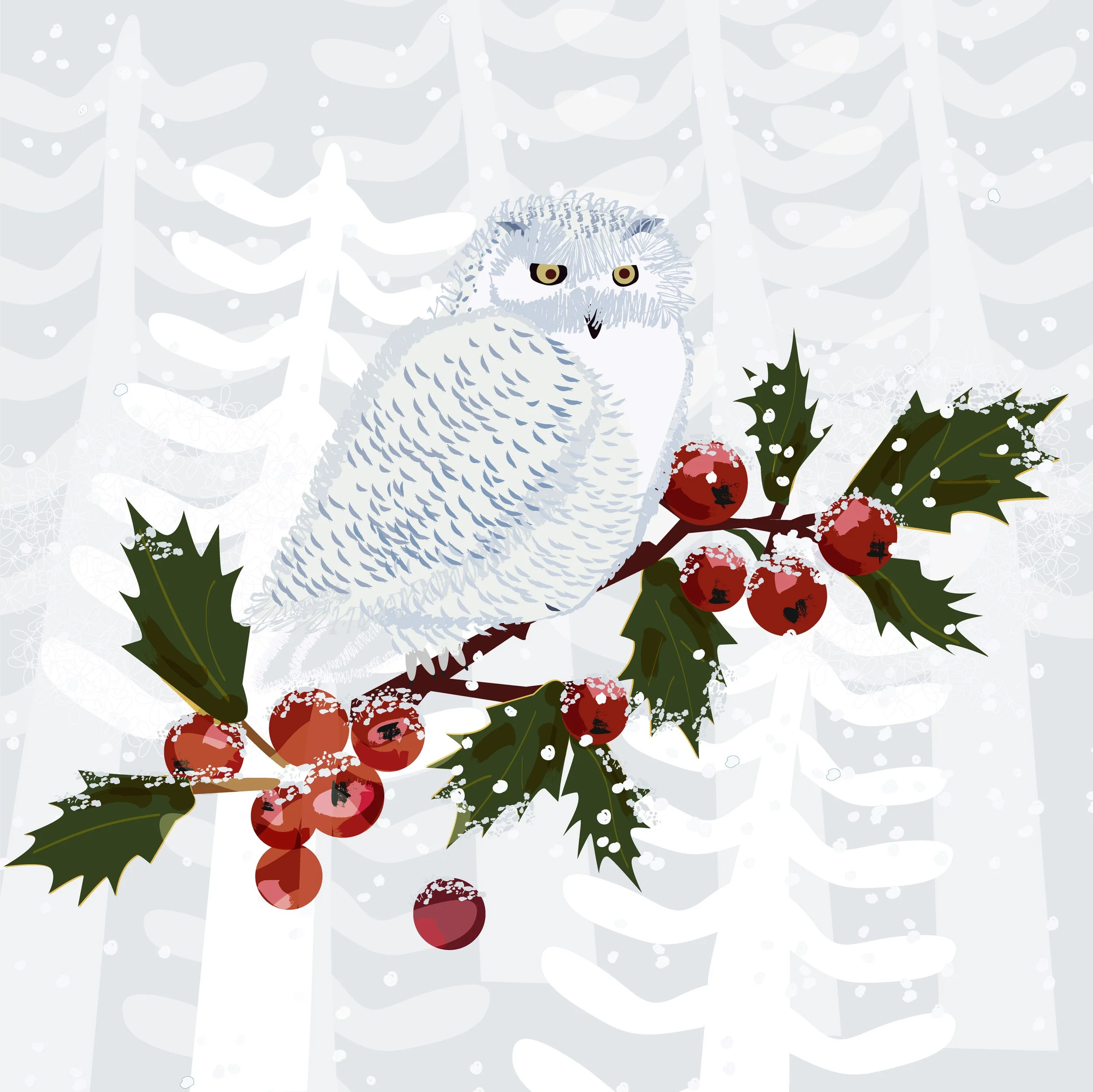 snowy owl.jpg