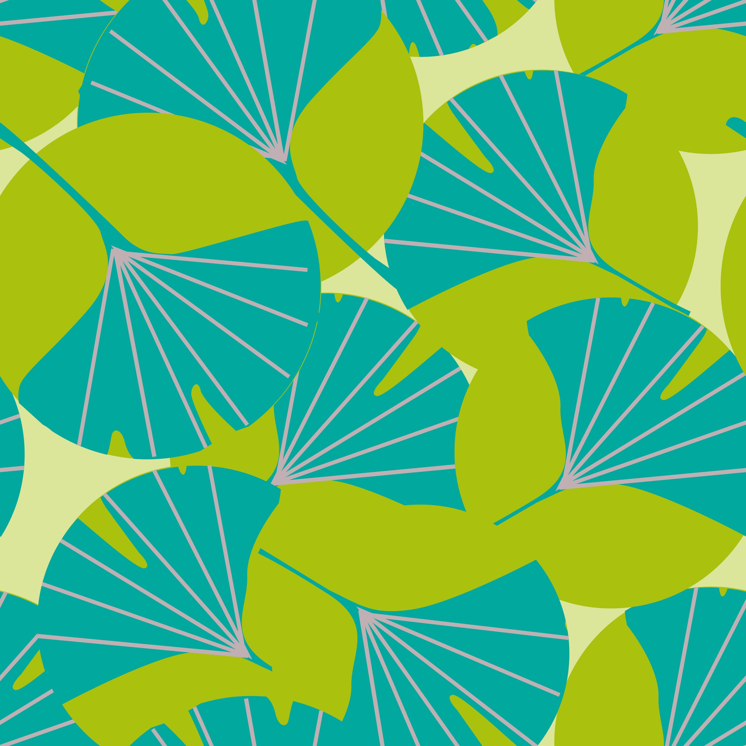 Gingko.new.2.jpg
