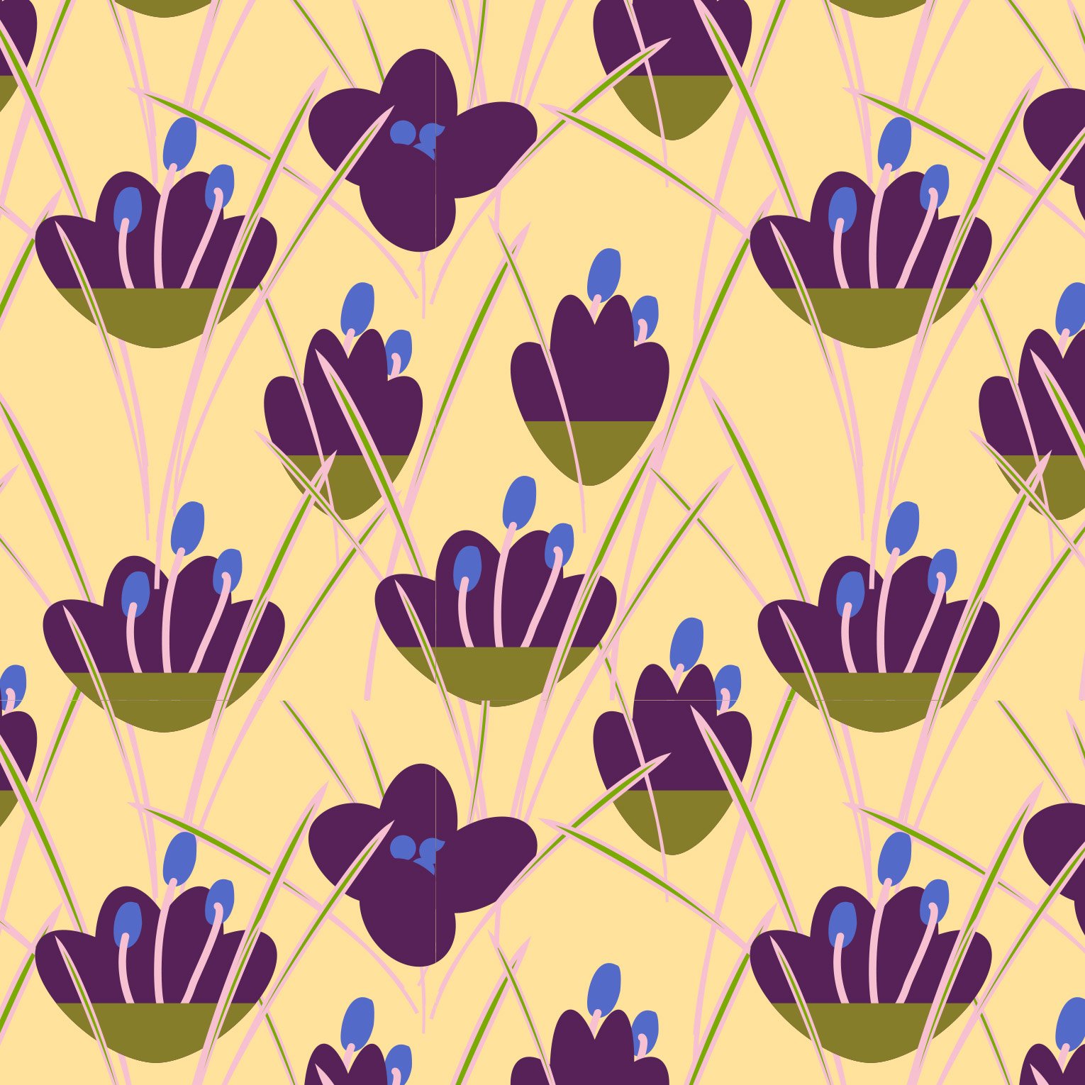 crocus yellow.jpg