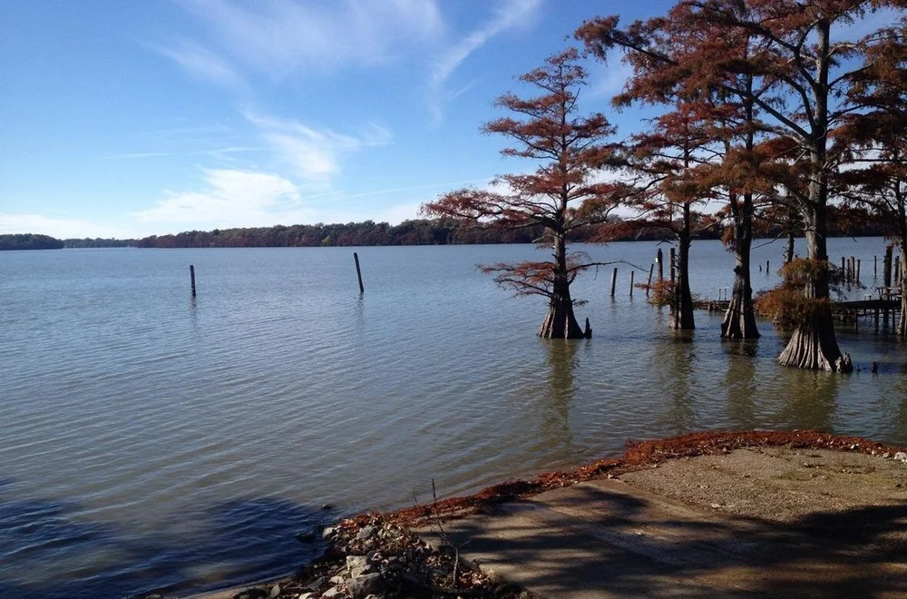 Our Mission — Moon Lake, MS