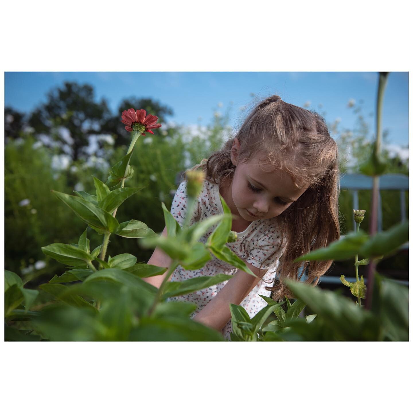 I know I have to wait until July, but this stretch of weather has got me VERY eager for fresh flower u-picks at @fieldsviewfarm 🌸🌷
.
.
.
#flowerpicking #southhavenmichigan #fieldsviewfarm #freshflowers #unposed #perfectlyimperfect #liveinthemoment 