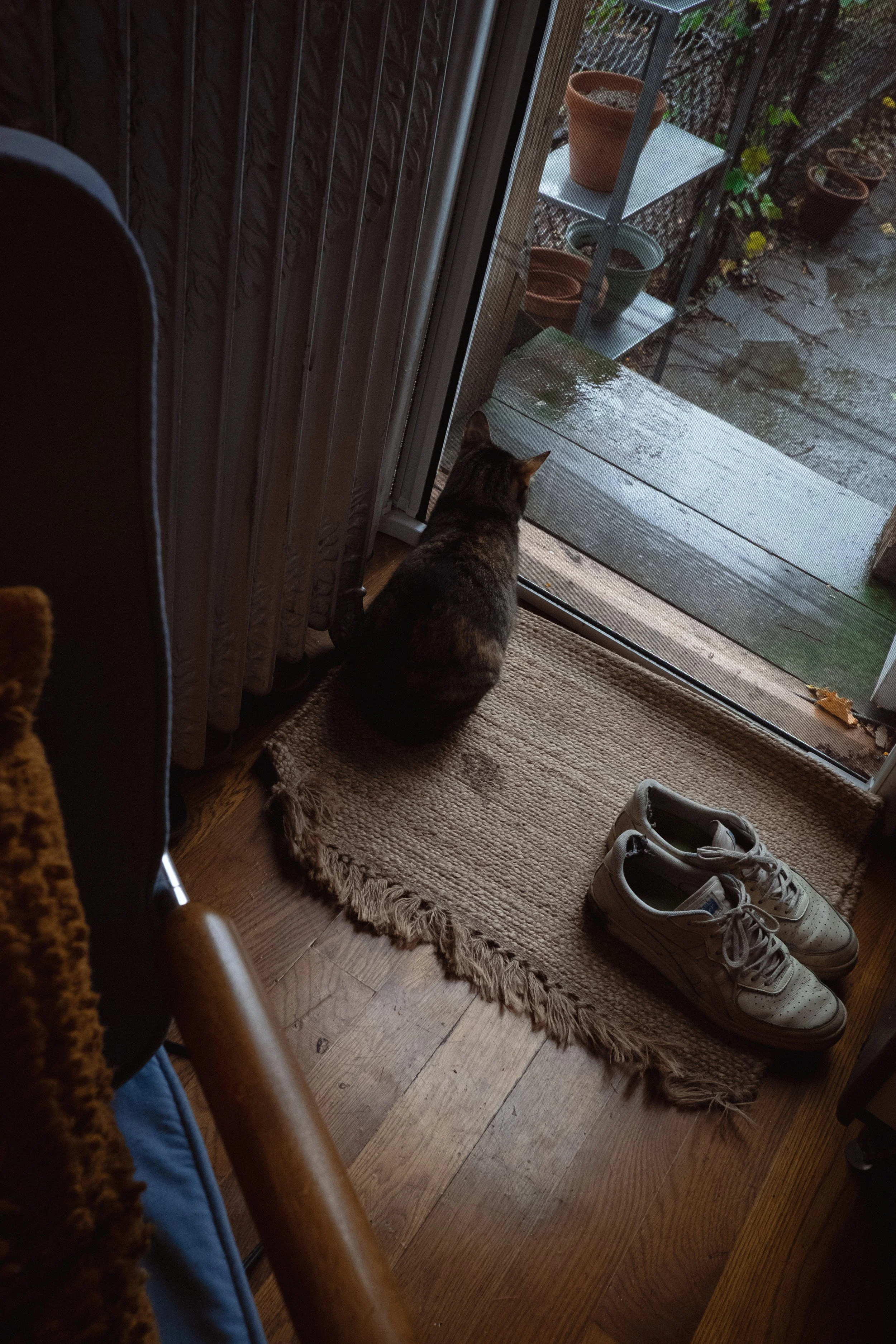20221202_JakeCara-0519.jpg