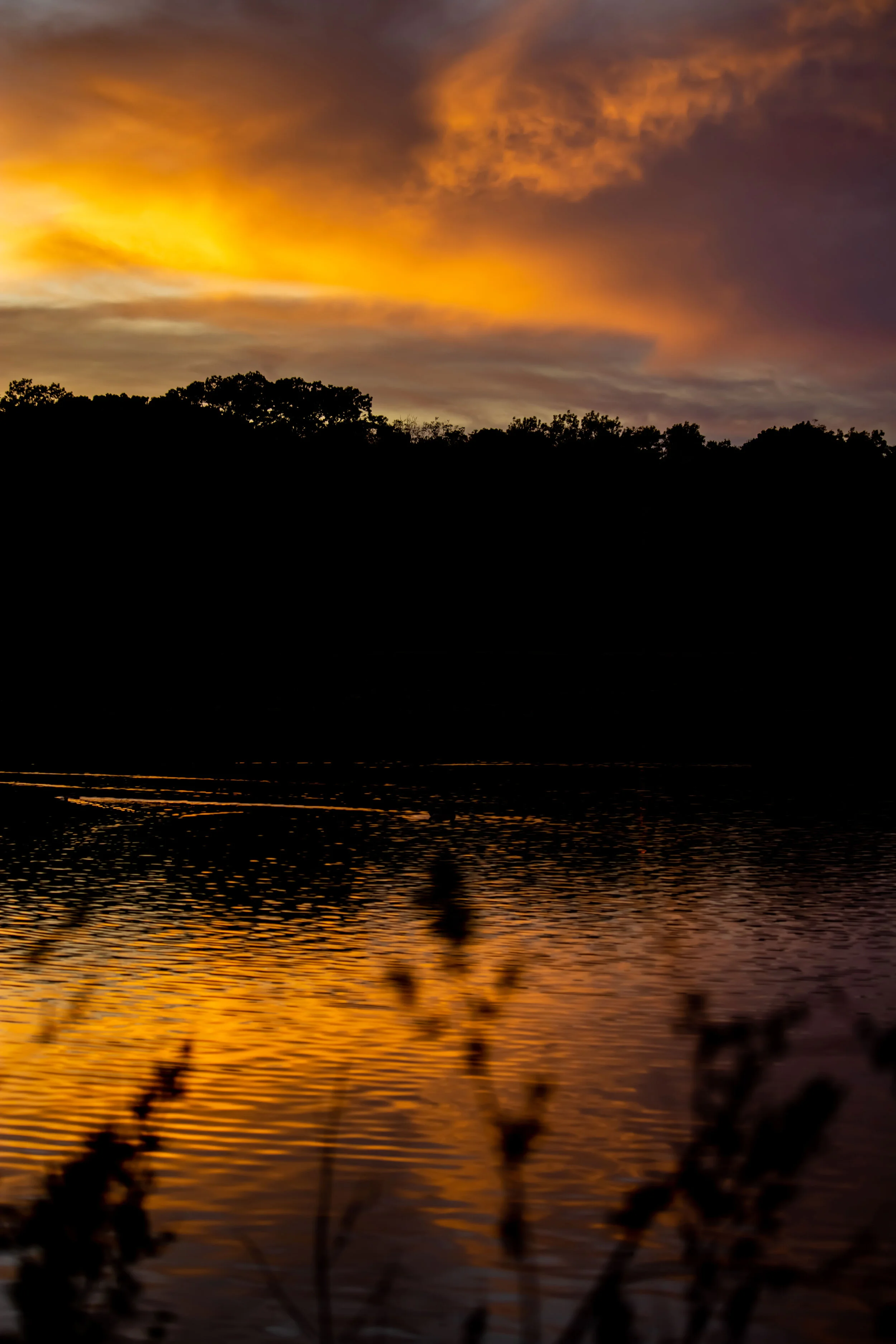 sunset-water-with-foreground.jpg