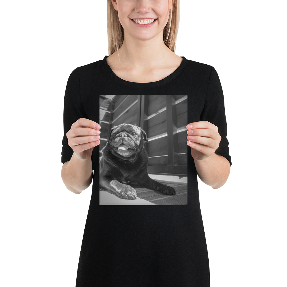 premium-luster-photo-paper-poster-(in)-8x10-person-6068983a88a69.png