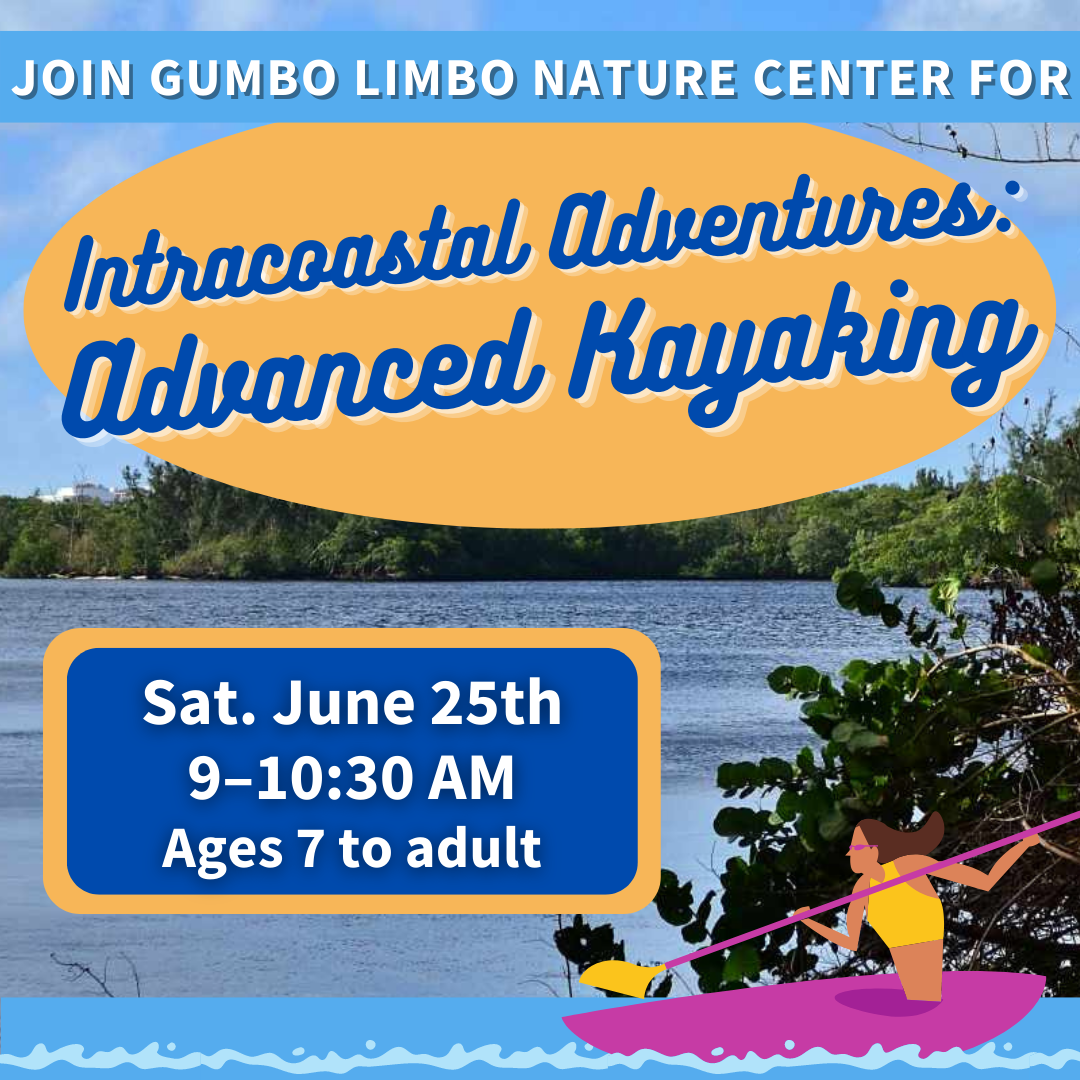 Intracoastal Adventures: Advanced Kayaking