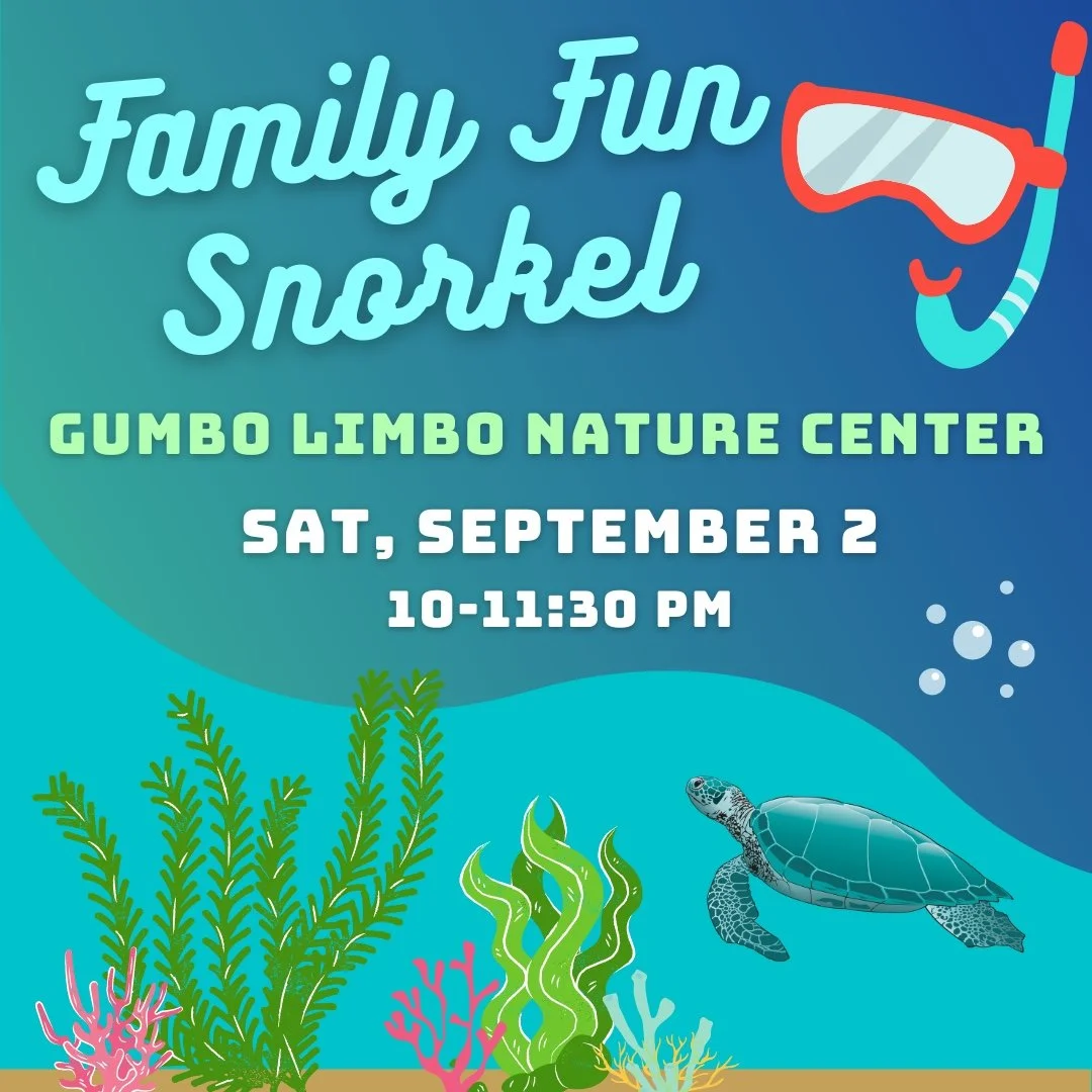 Family Fun Snorkel