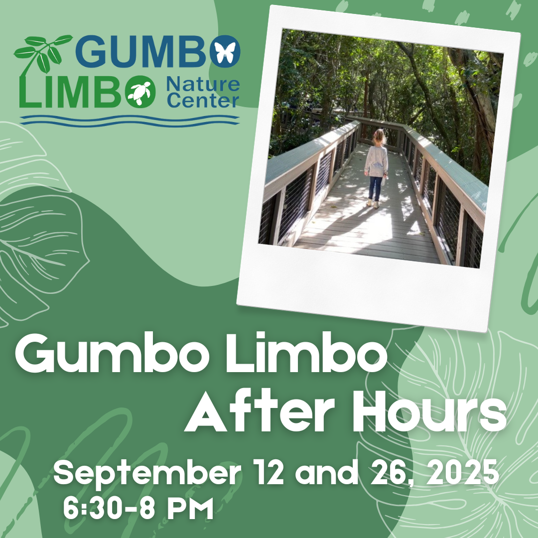 Gumbo Limbo After Hours Tour