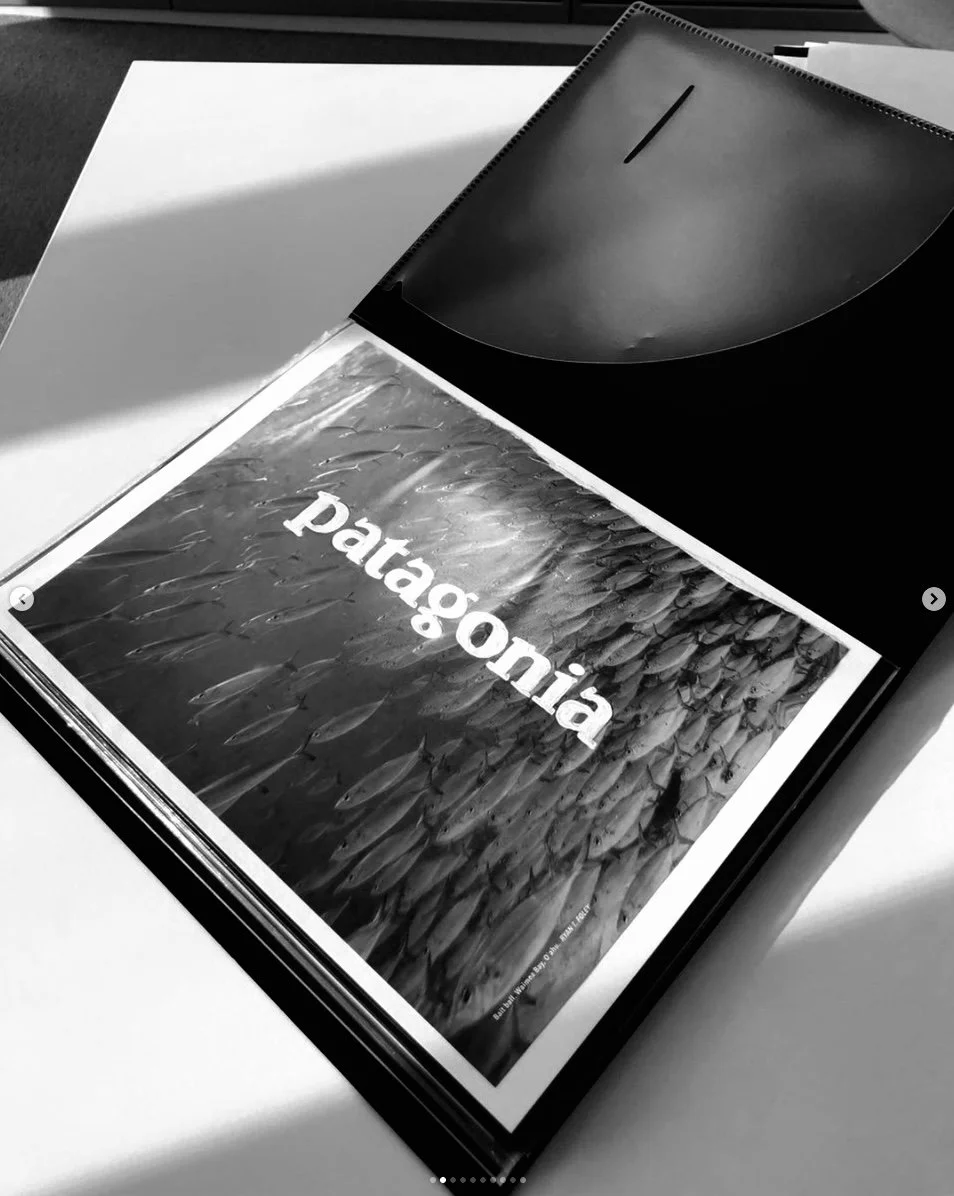 FIDM - Patagonia Admissions Project