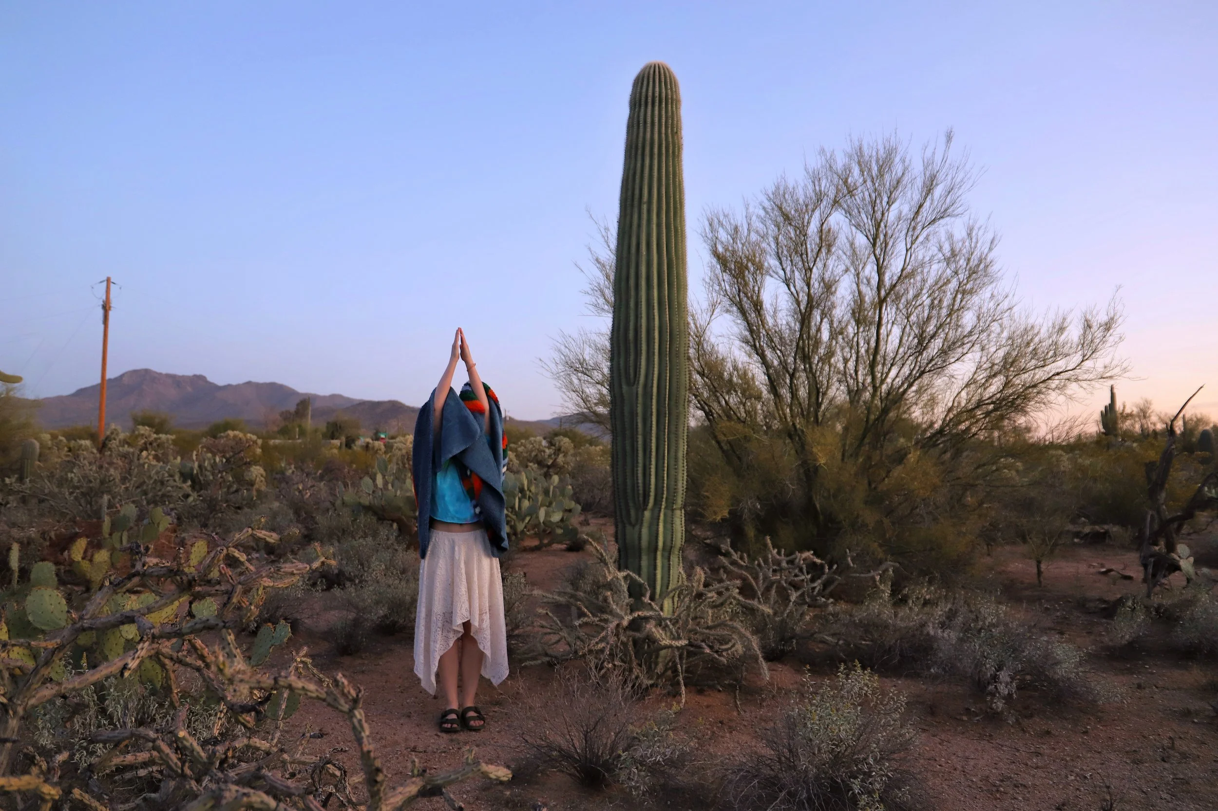 Fynne, Saguaro National Park, AZ 2022