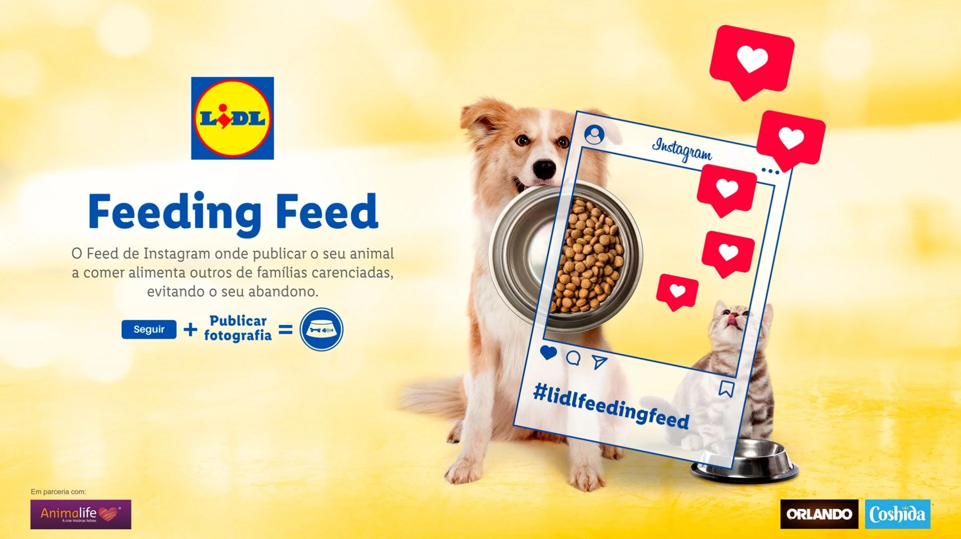 LIDL - Feeding Feed   Campanha Integrada  CRIATIVIDADE | PUBLICIDADE