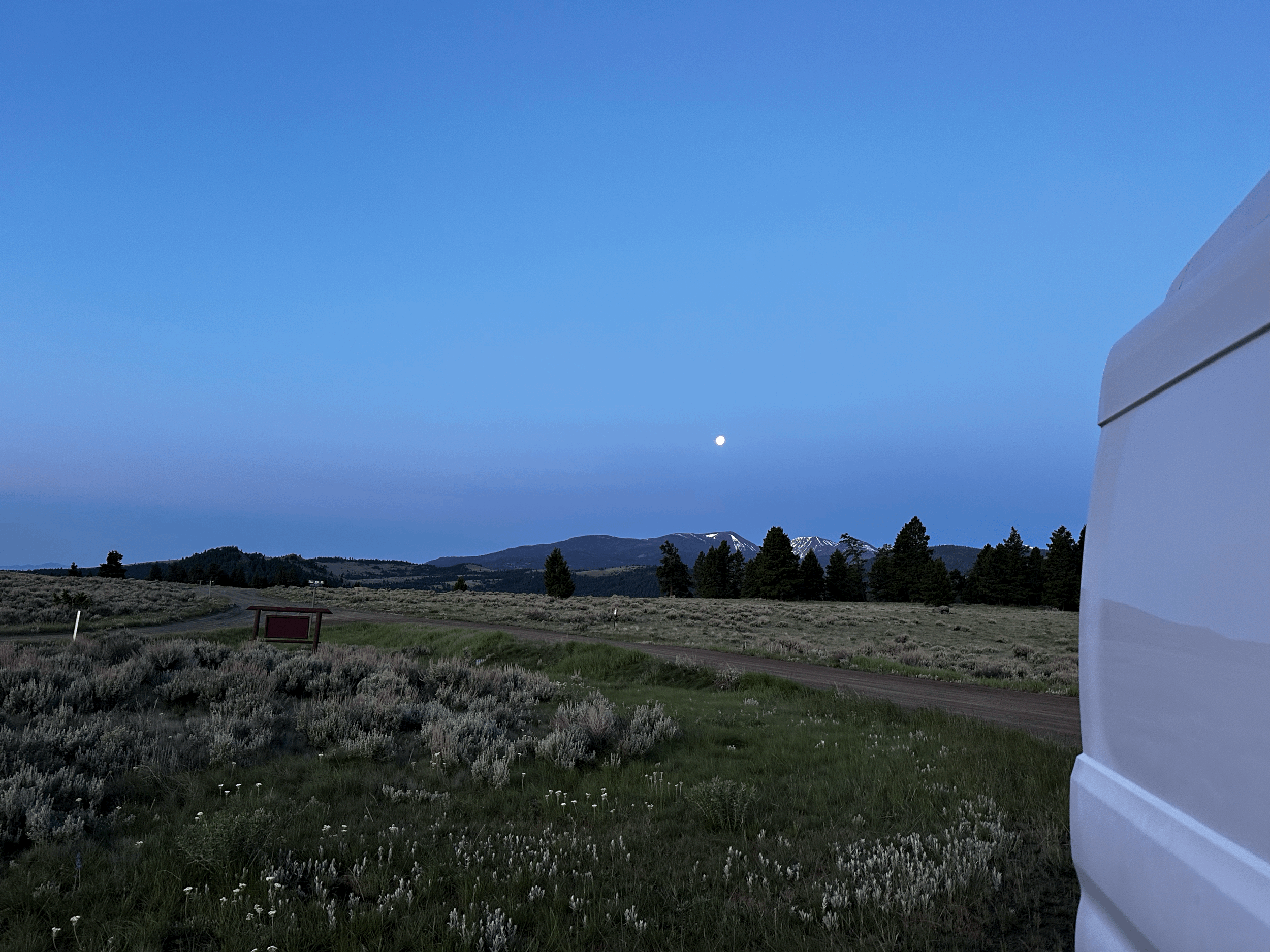 Autonomy, Competence, and Meaning in Valued Living