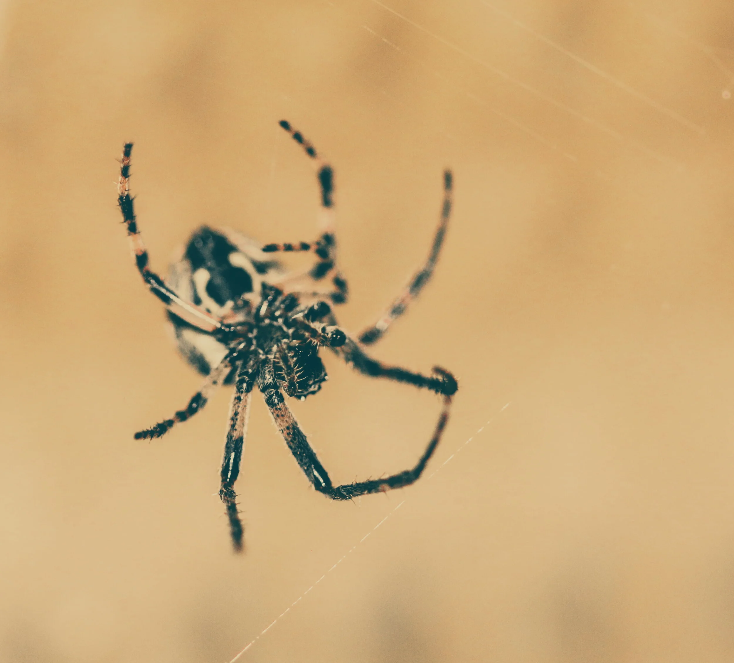 2018-07-03 12.35.52 1.jpg