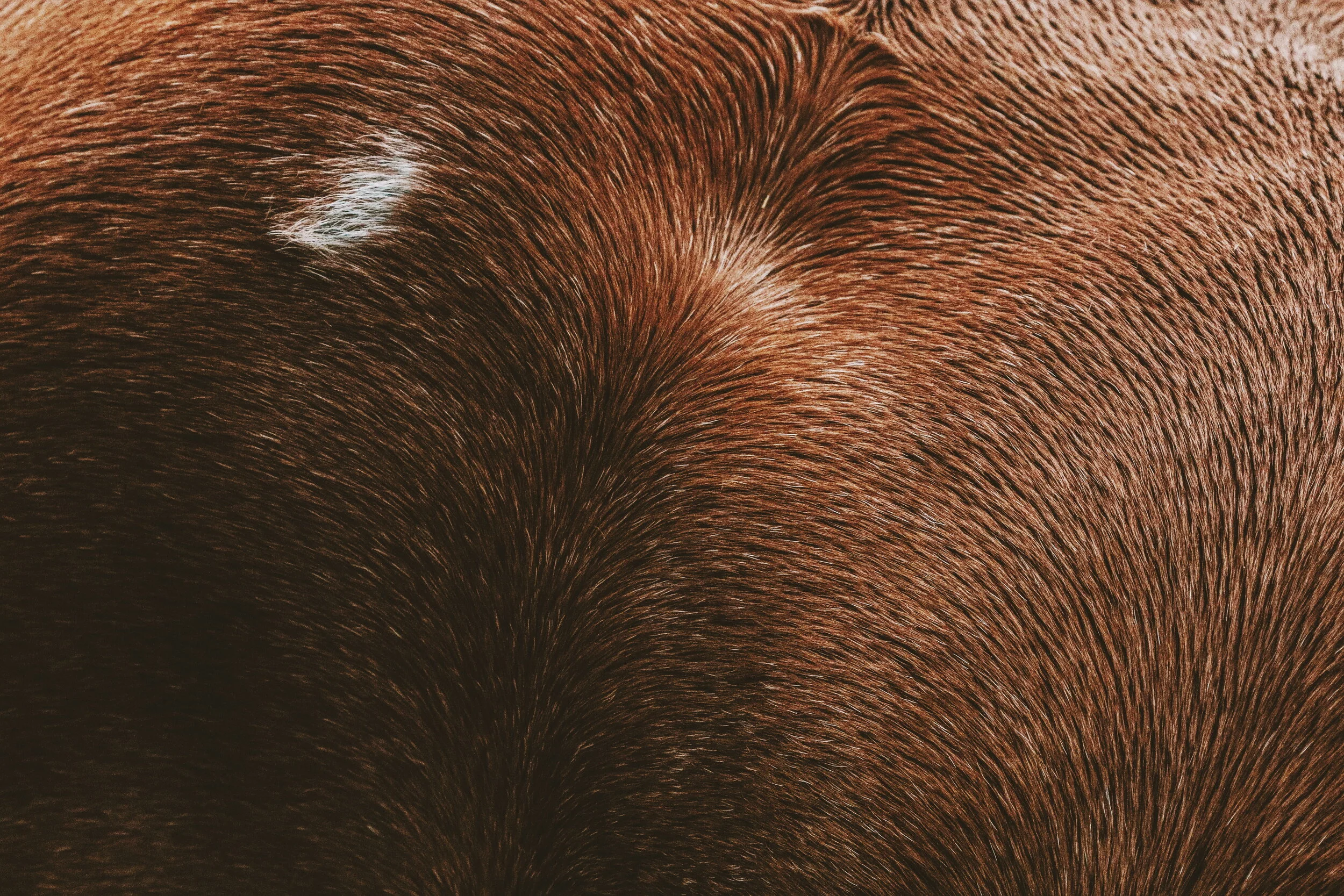 2018-10-07 07.44.12 1.jpg