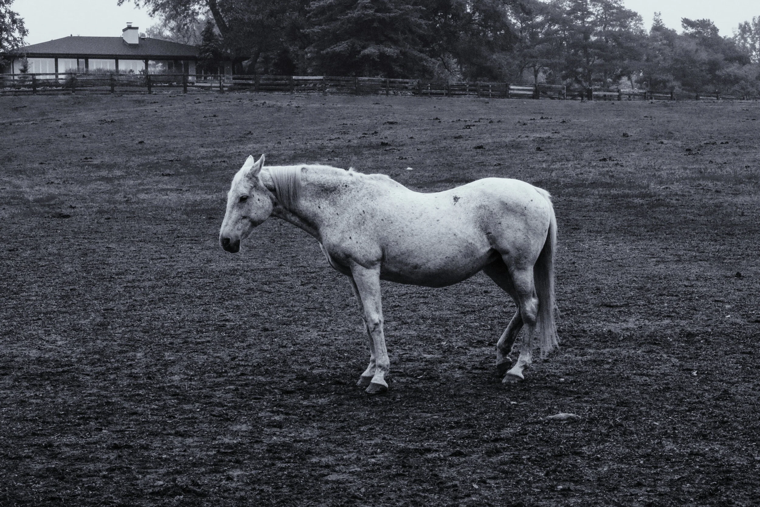 2018-10-07 07.44.00 1.jpg