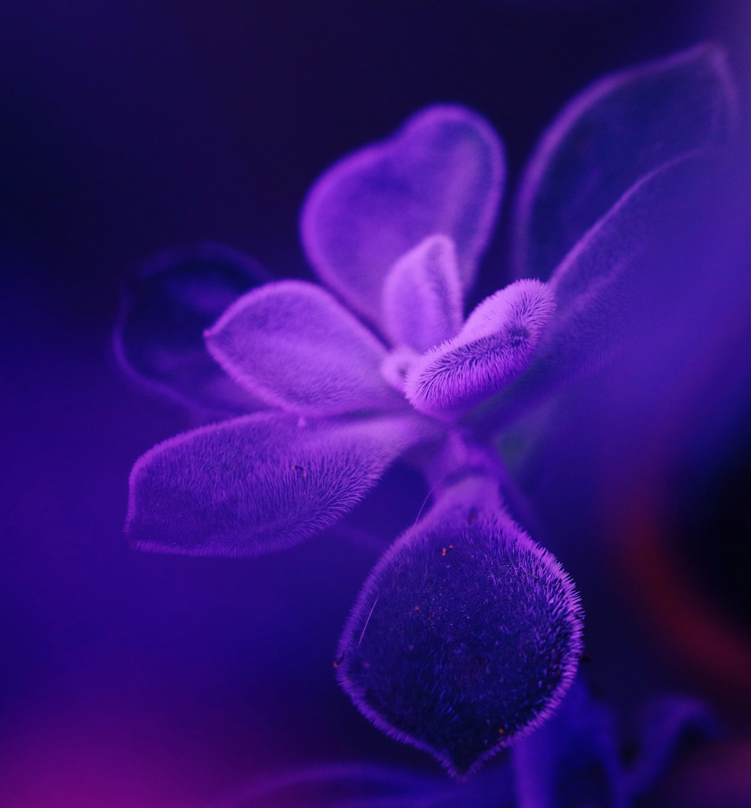 2018-12-25 10.22.29 1.jpg