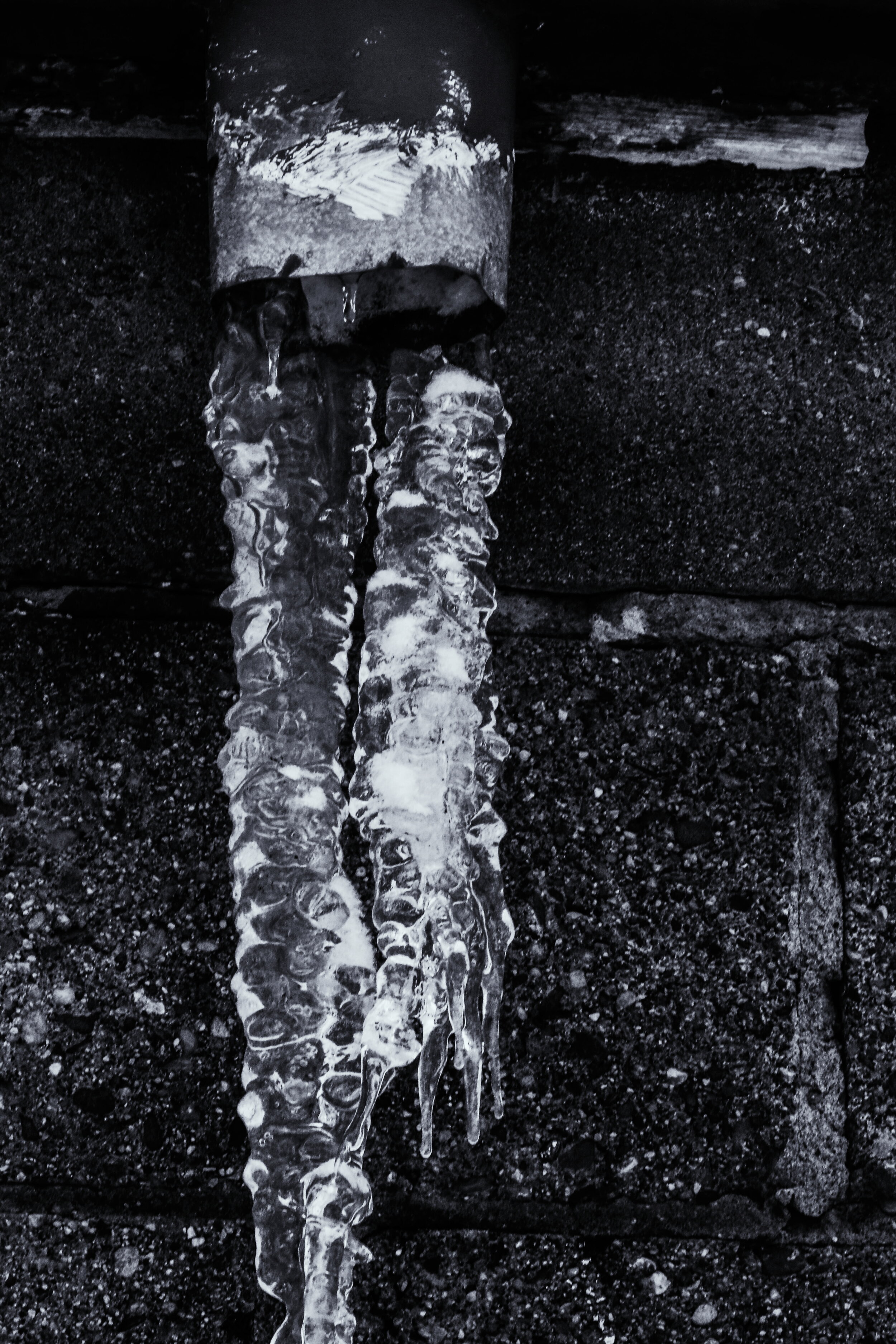 2019-02-11 01.04.39 1.jpg