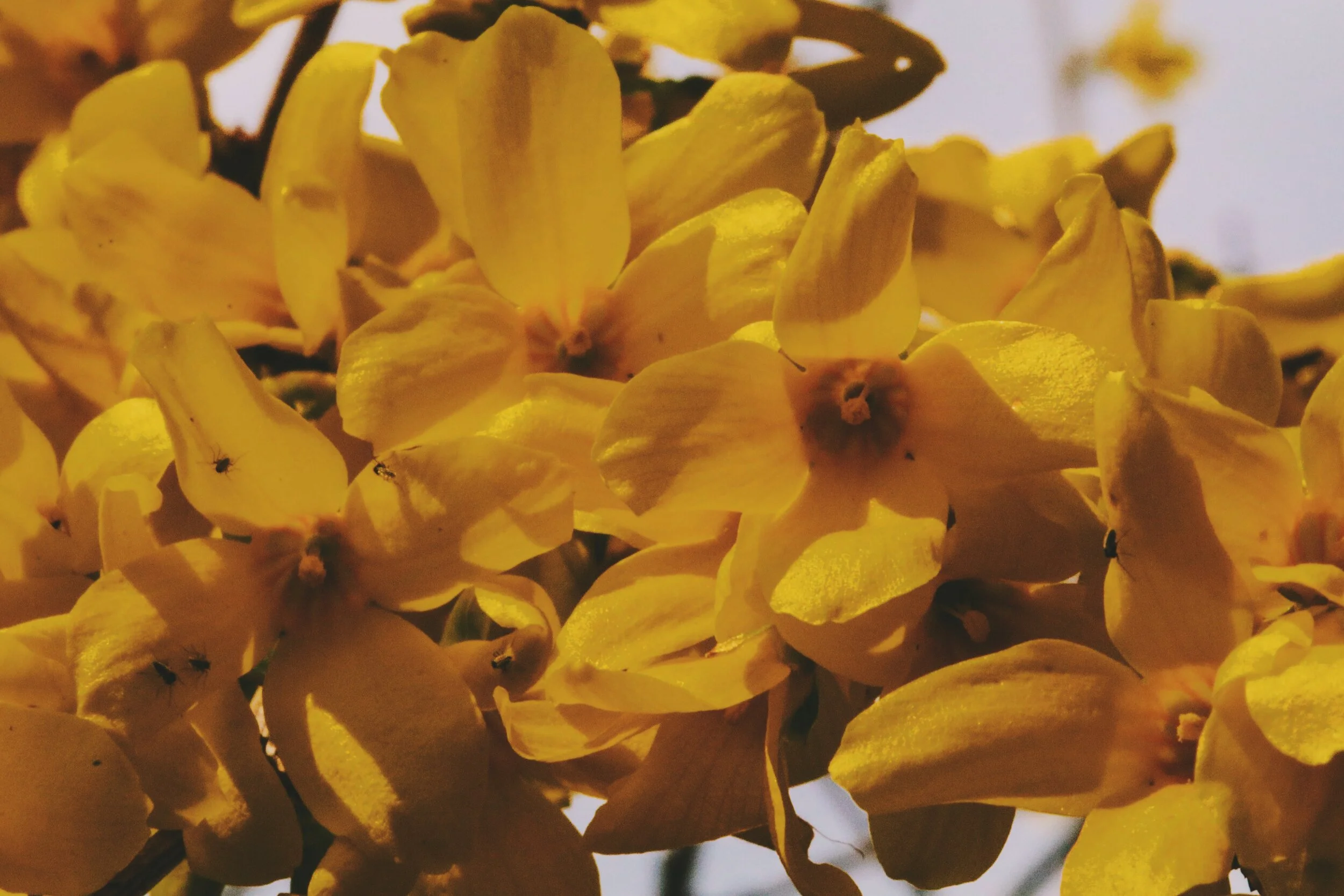 2020-04-19 01.56.52 1.jpg