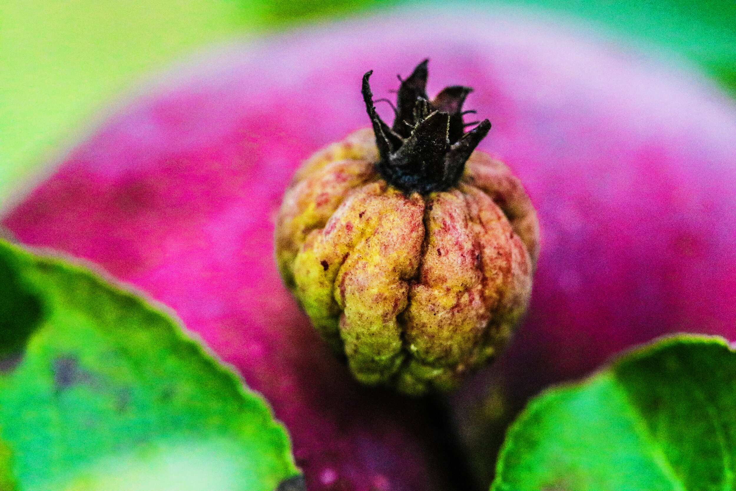 2018-10-07 07.44.18 1.jpg