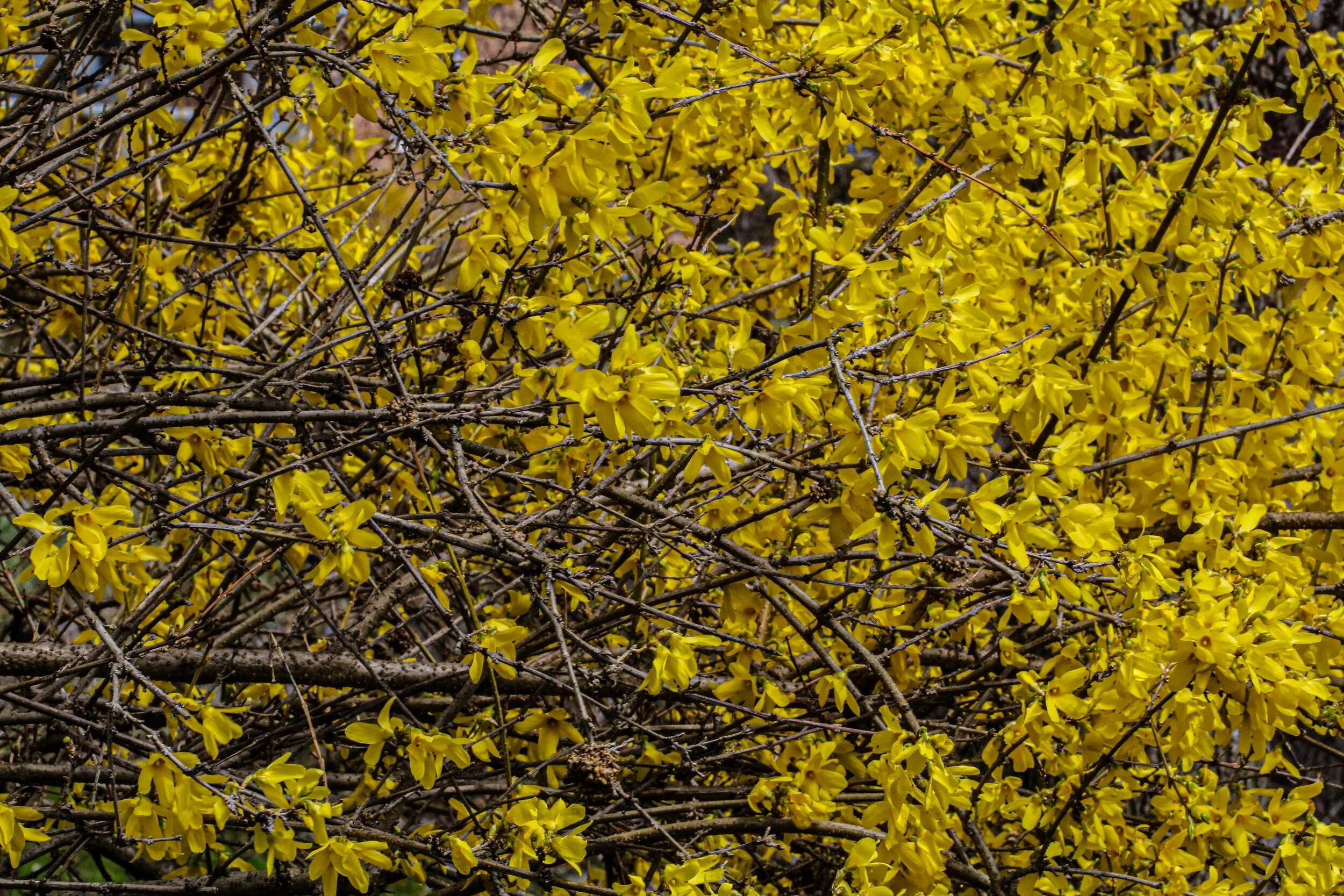 2020-04-19 01.57.03 1.jpg