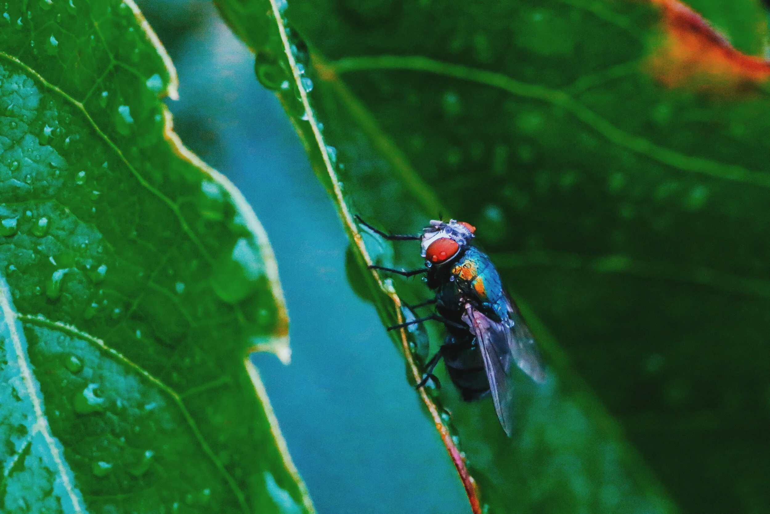 2018-09-26 10.55.27 1.jpg