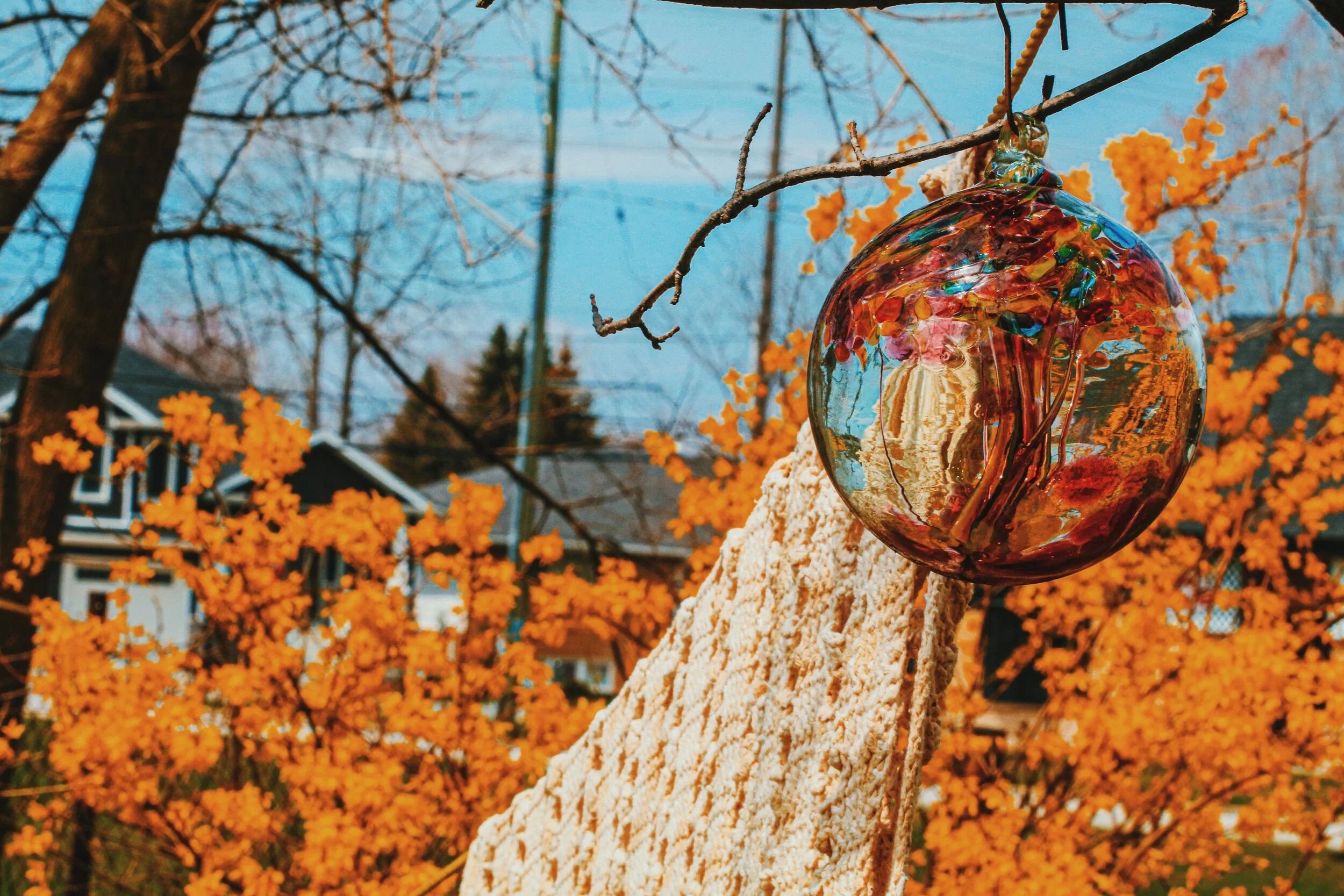 2020-04-19 01.57.25 1.jpg