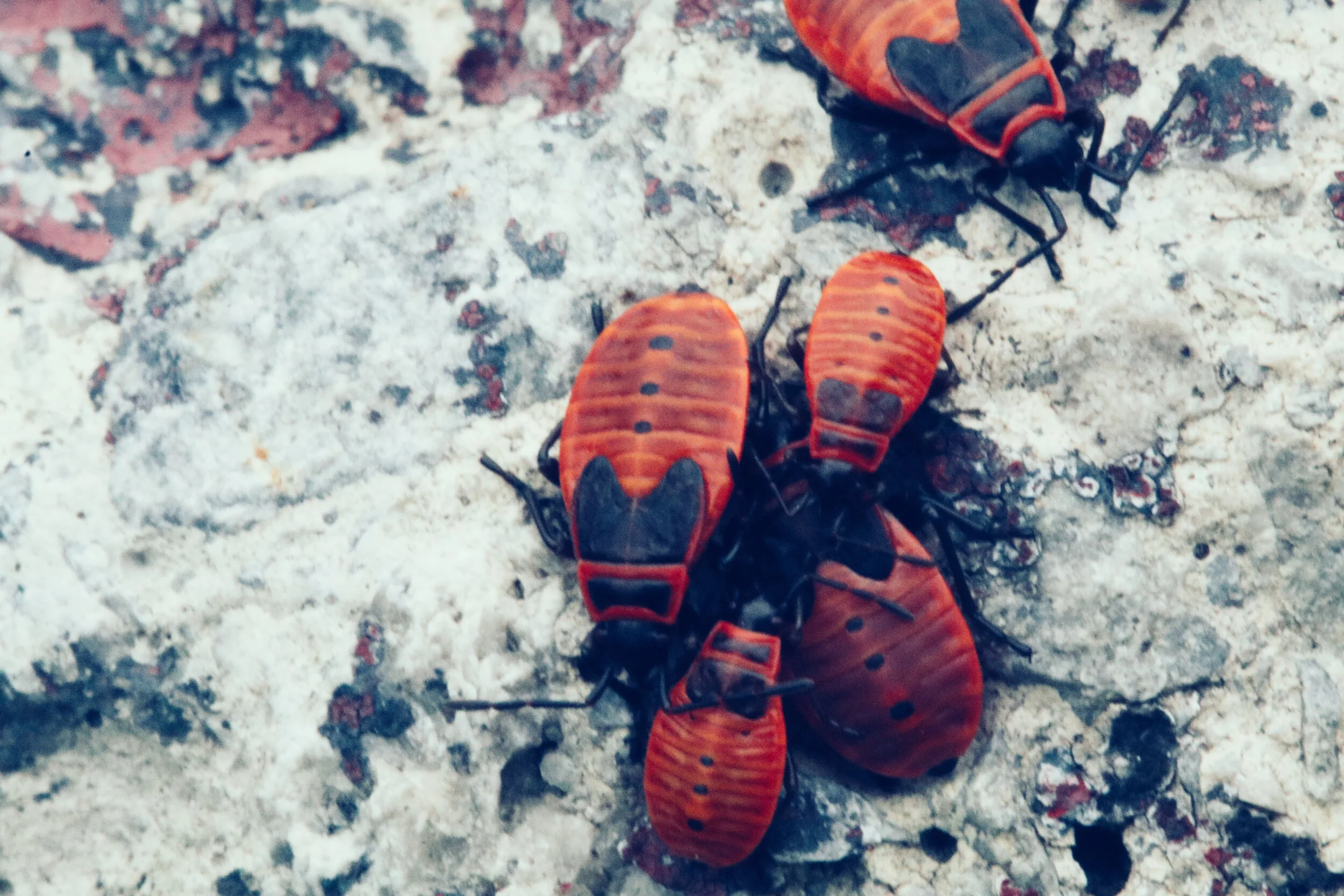 2018-09-11 06.37.10 1.jpg