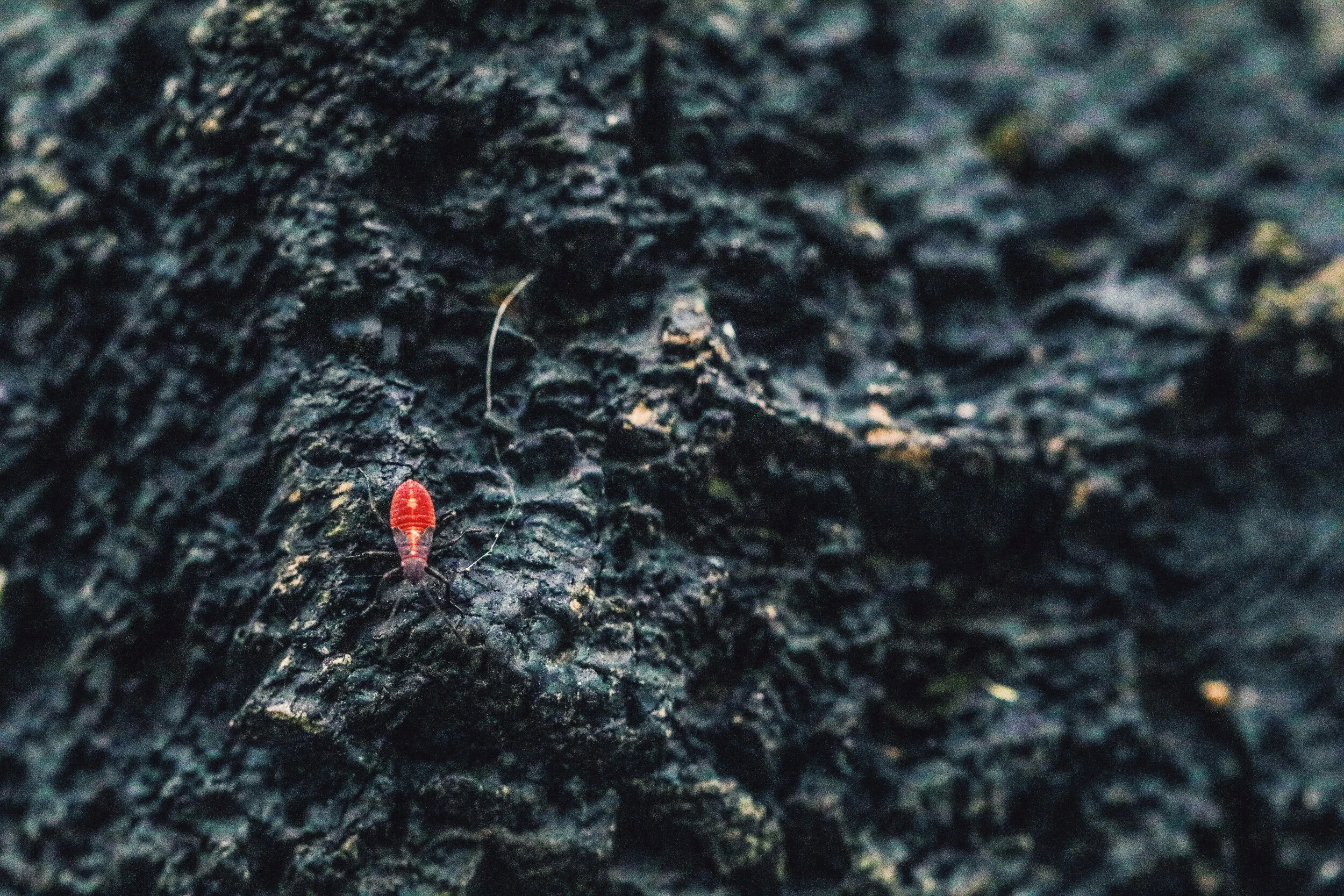 2018-10-07 07.44.11 1.jpg