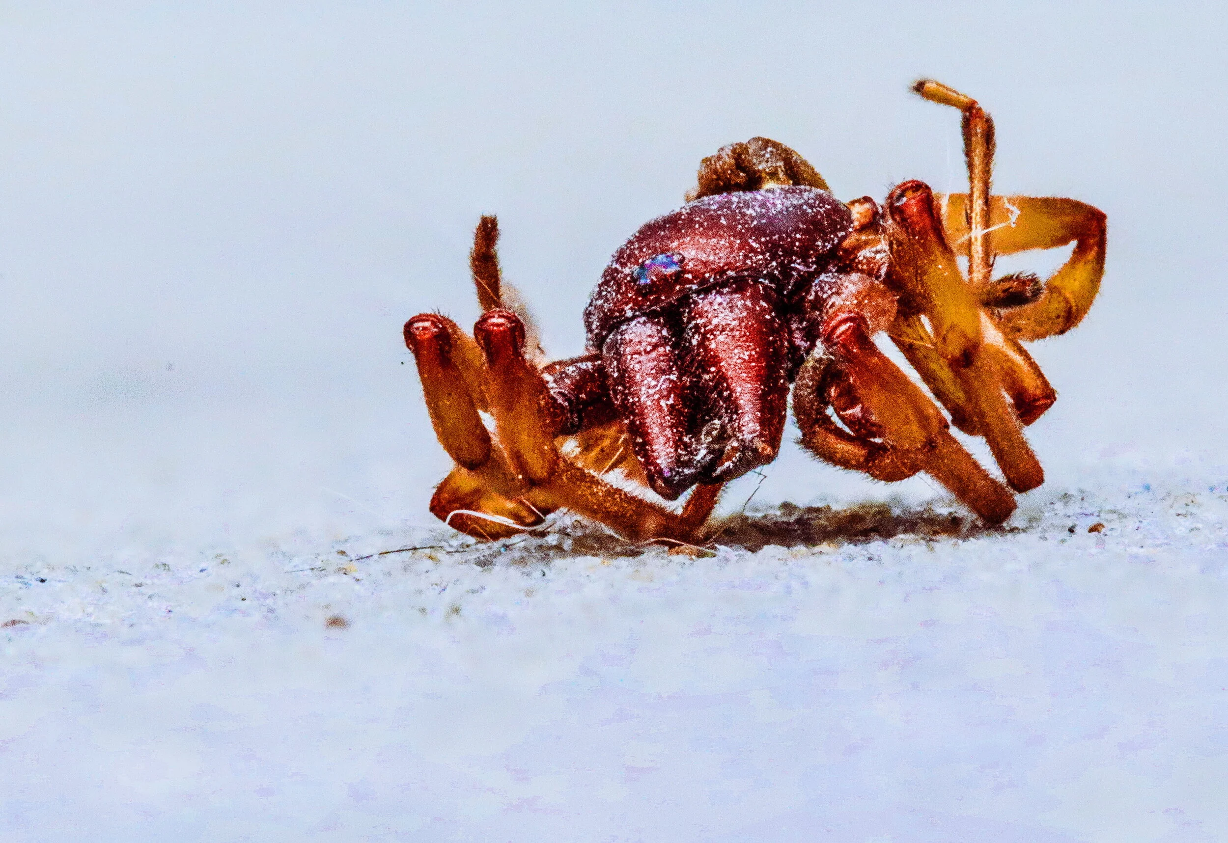 2018-06-17 11.47.05 1.jpg