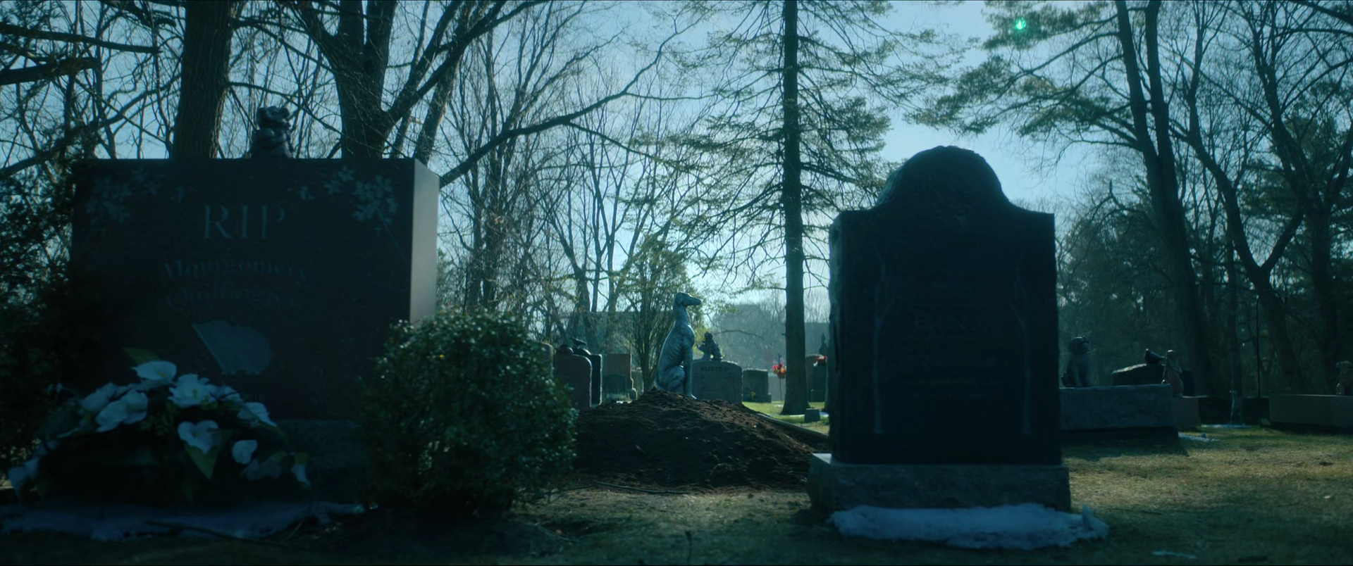 A cemetery with various tombstones and grave markers amidst trees with bare branches. Some graves have floral arrangements. The scene is dimly lit with a blue tint, possibly during dawn or dusk.