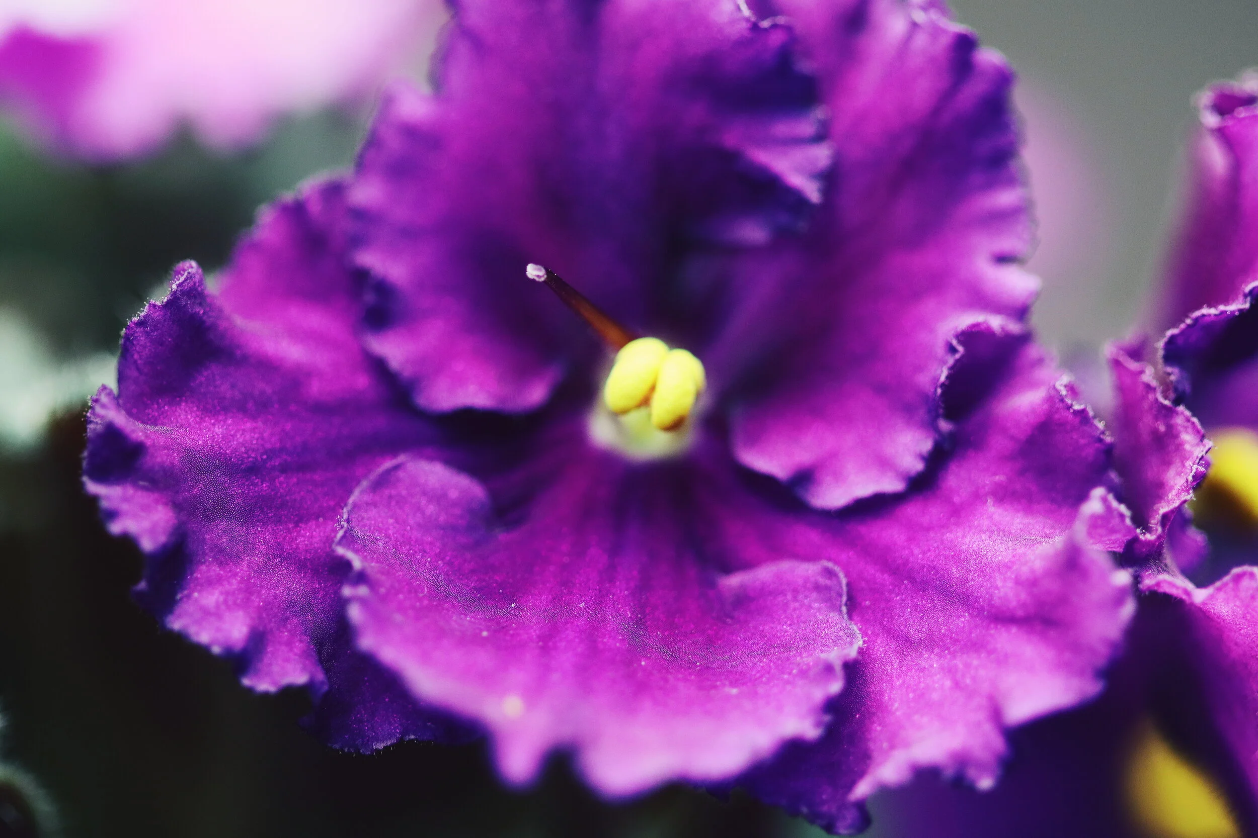 2018-12-25 10.22.25 2.jpg