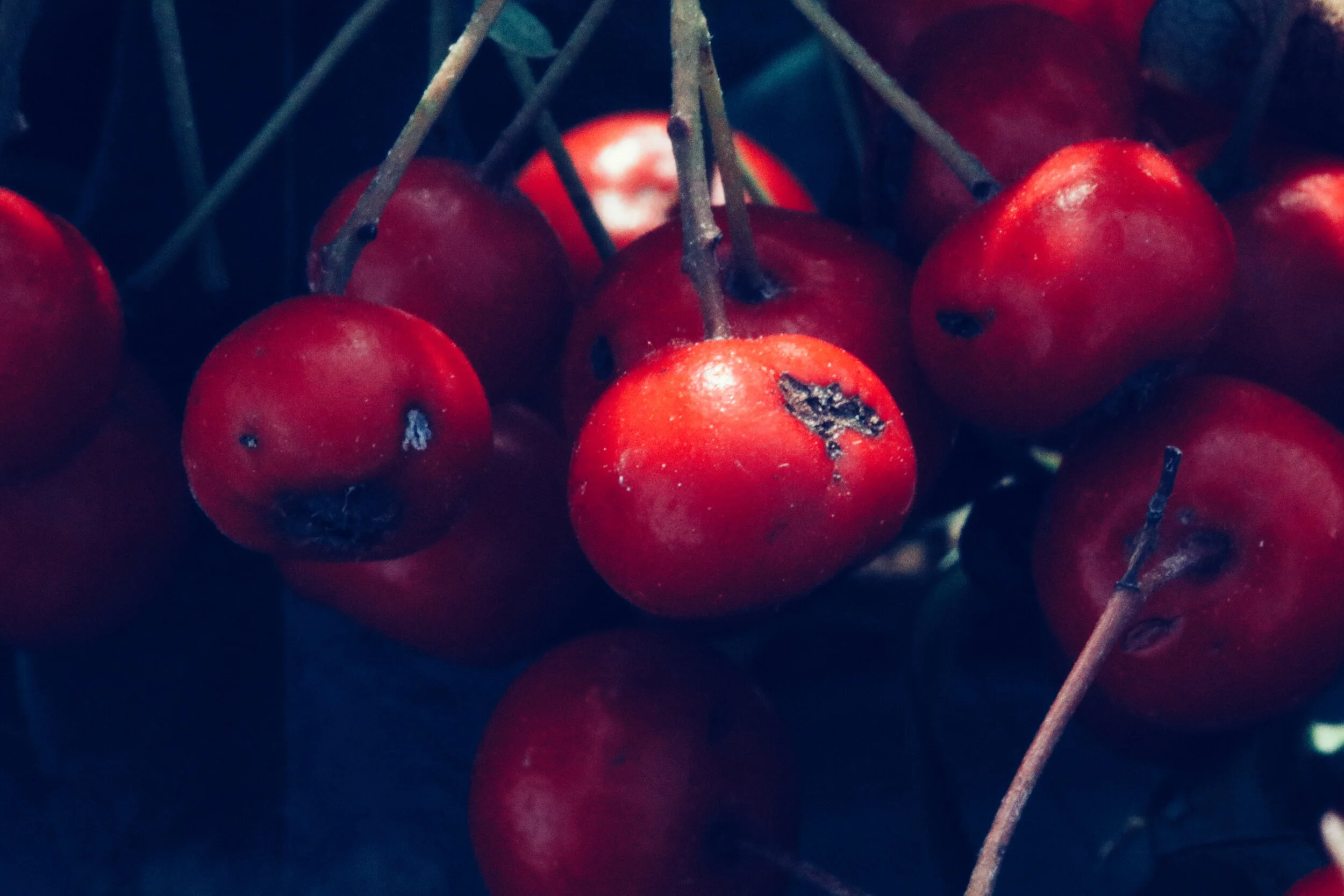 2020-01-27 02.41.24 1.jpg