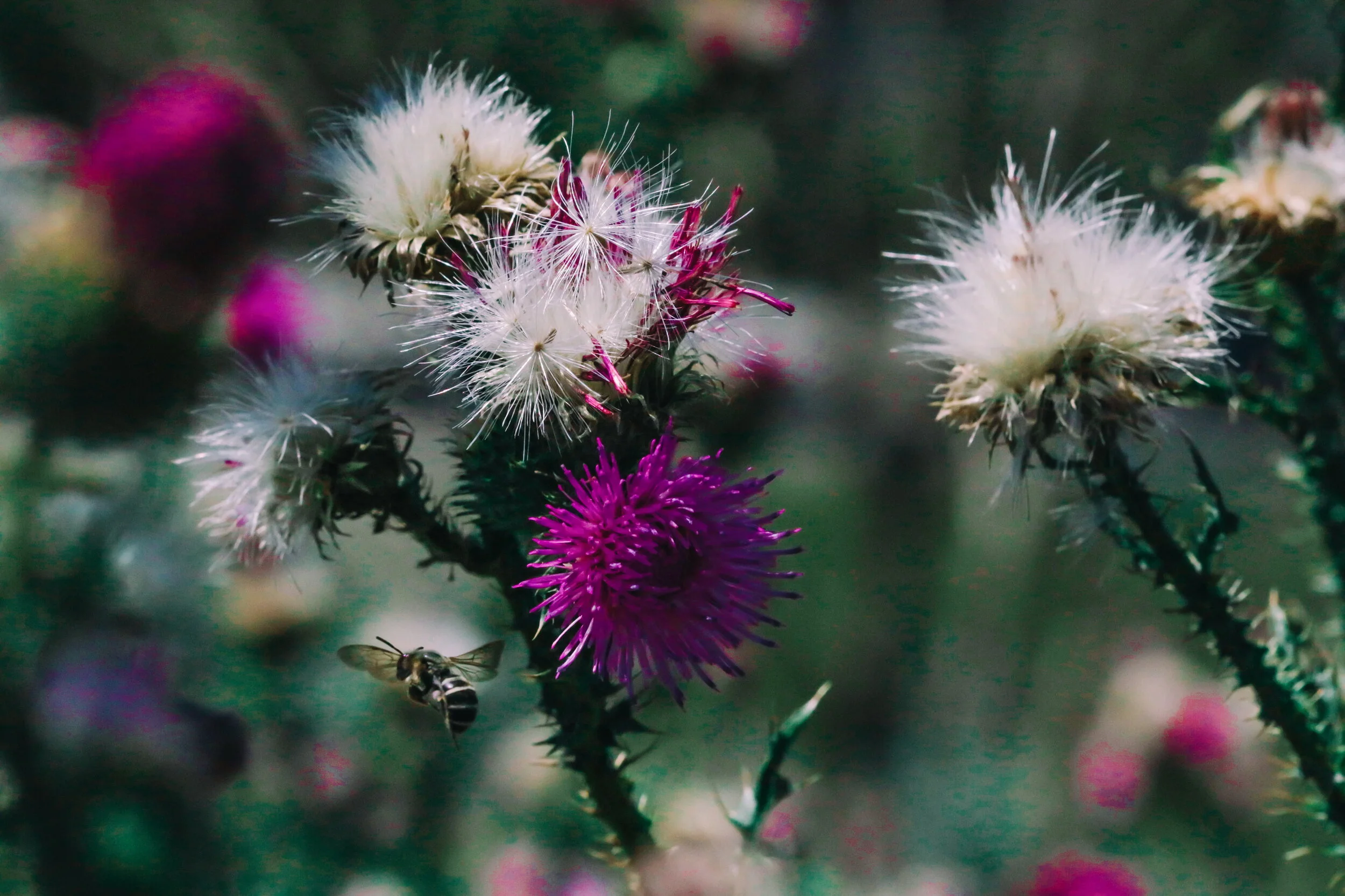 2018-07-03 02.11.44 1.jpg