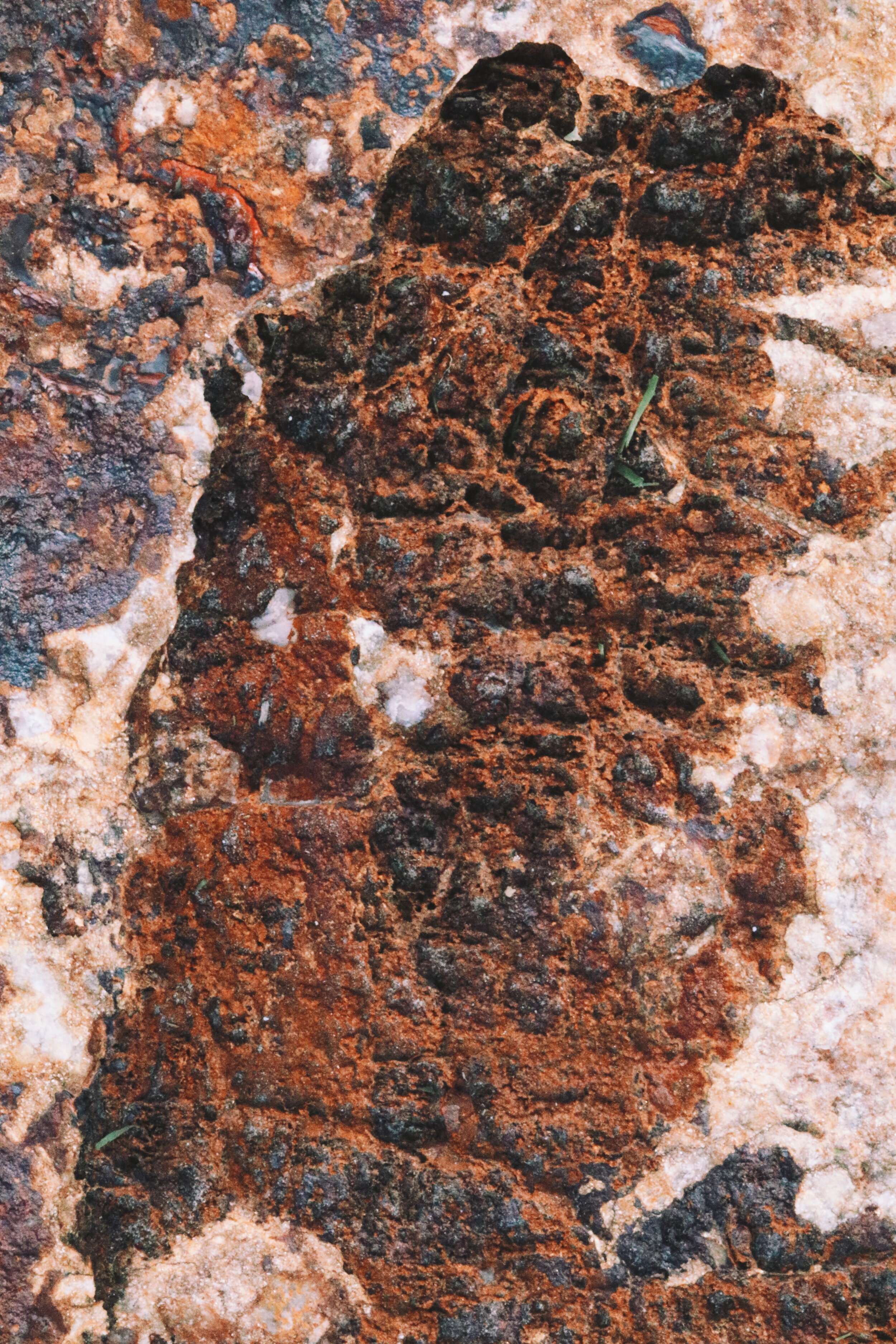 2020-01-27 02.41.06 1.jpg