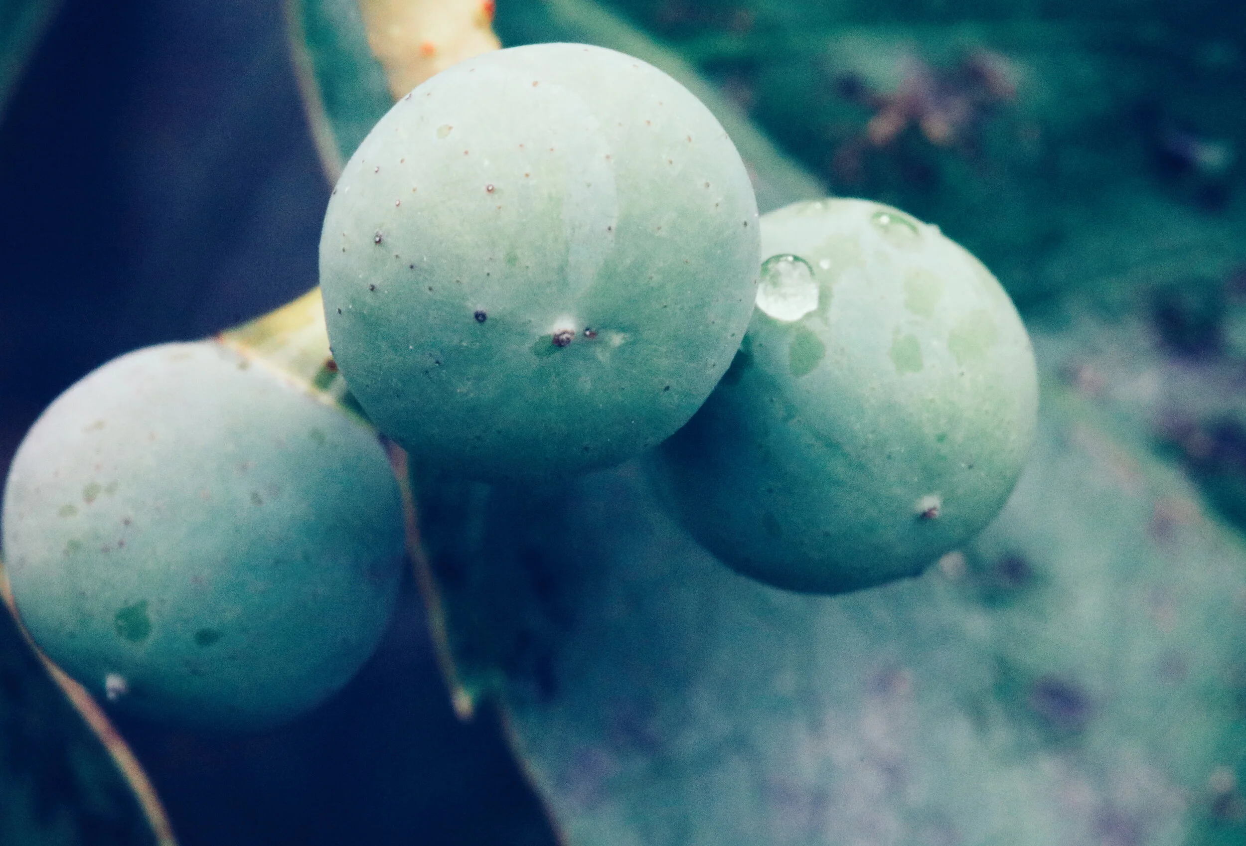 2018-08-21 08.33.44 1.jpg