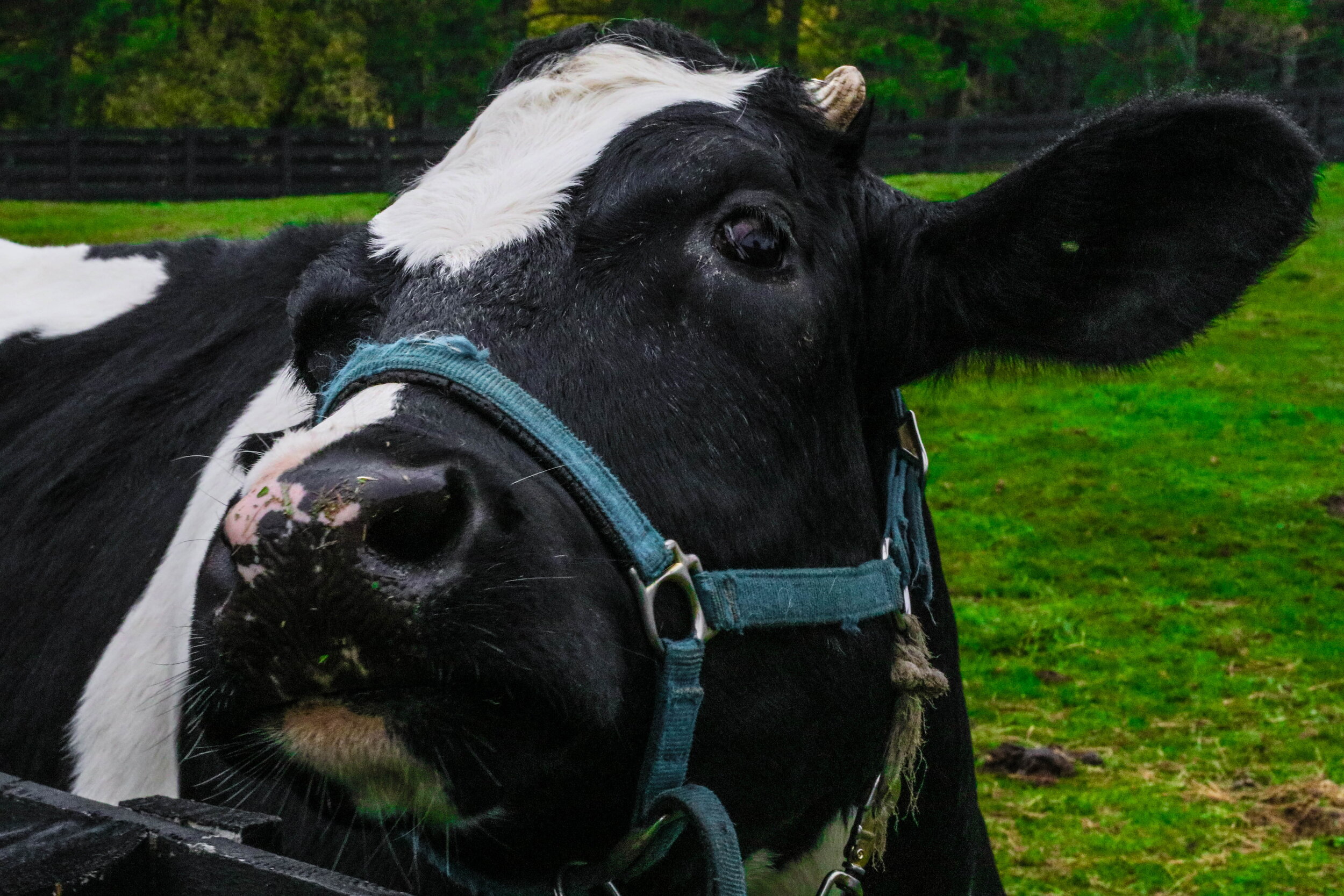 2018-10-07 07.44.00 2.jpg