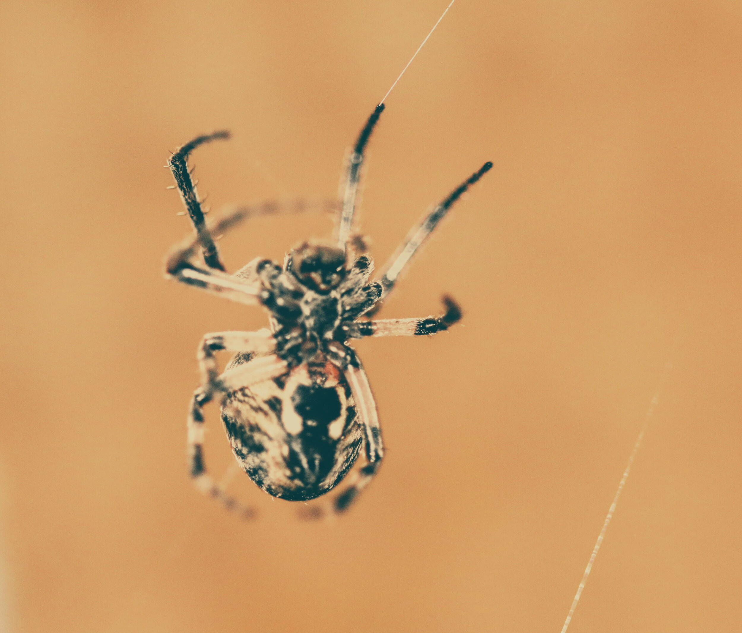 2018-07-03 12.35.51 1.jpg