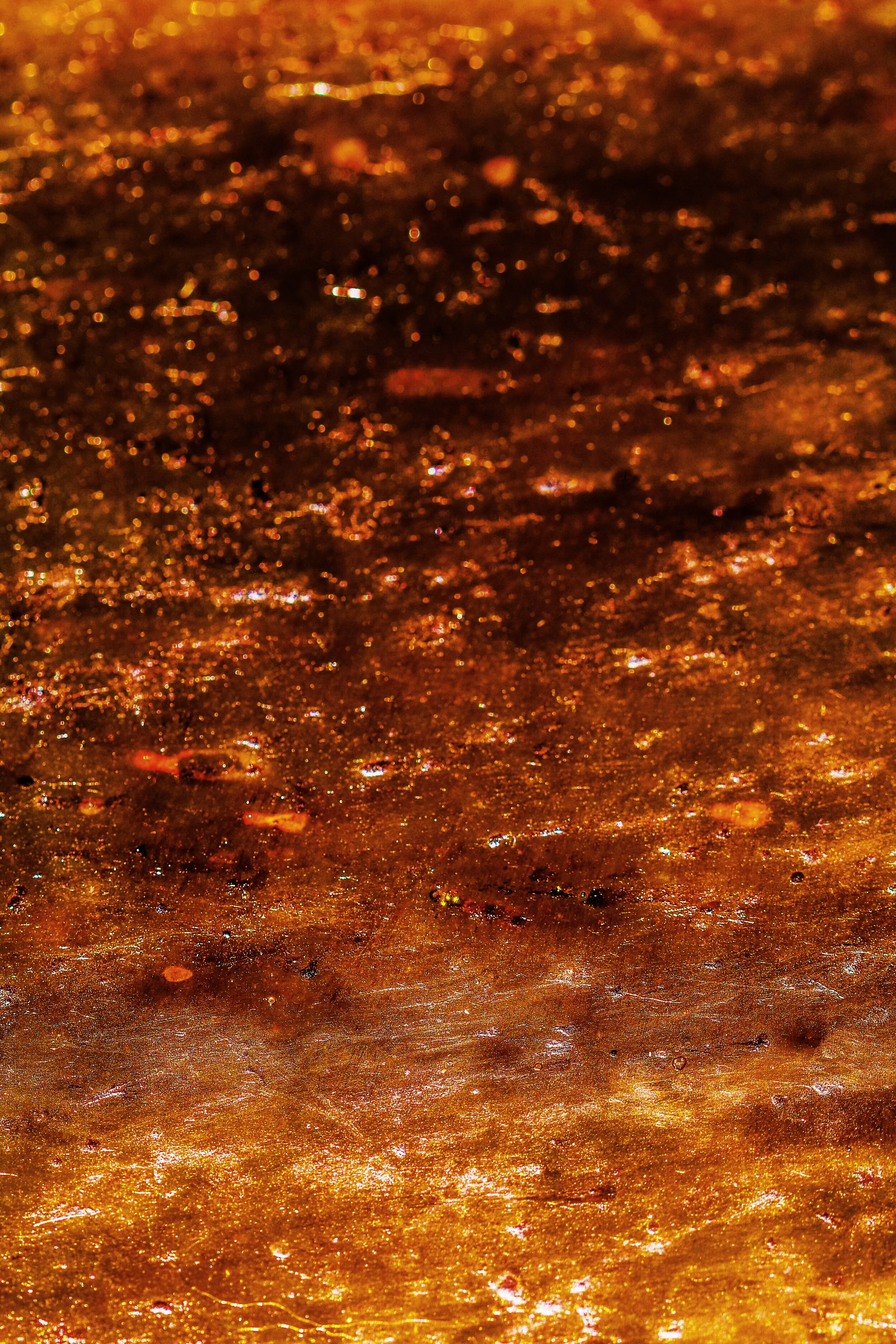 2019-03-07 05.59.07 1.jpg