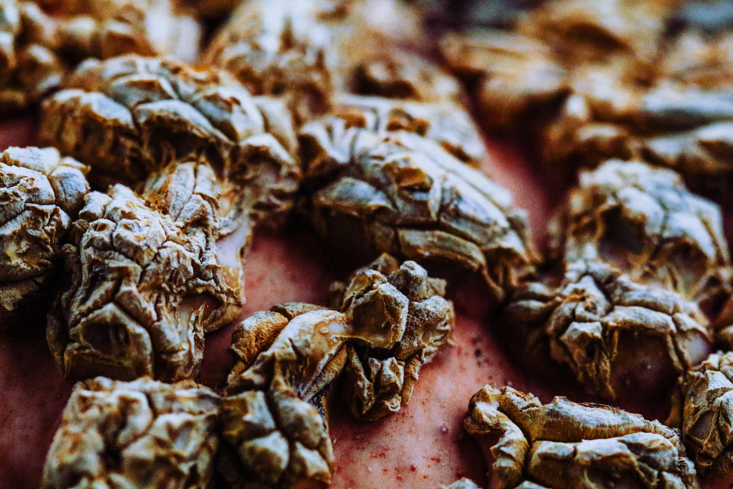 2018-10-07 07.44.17 1.jpg