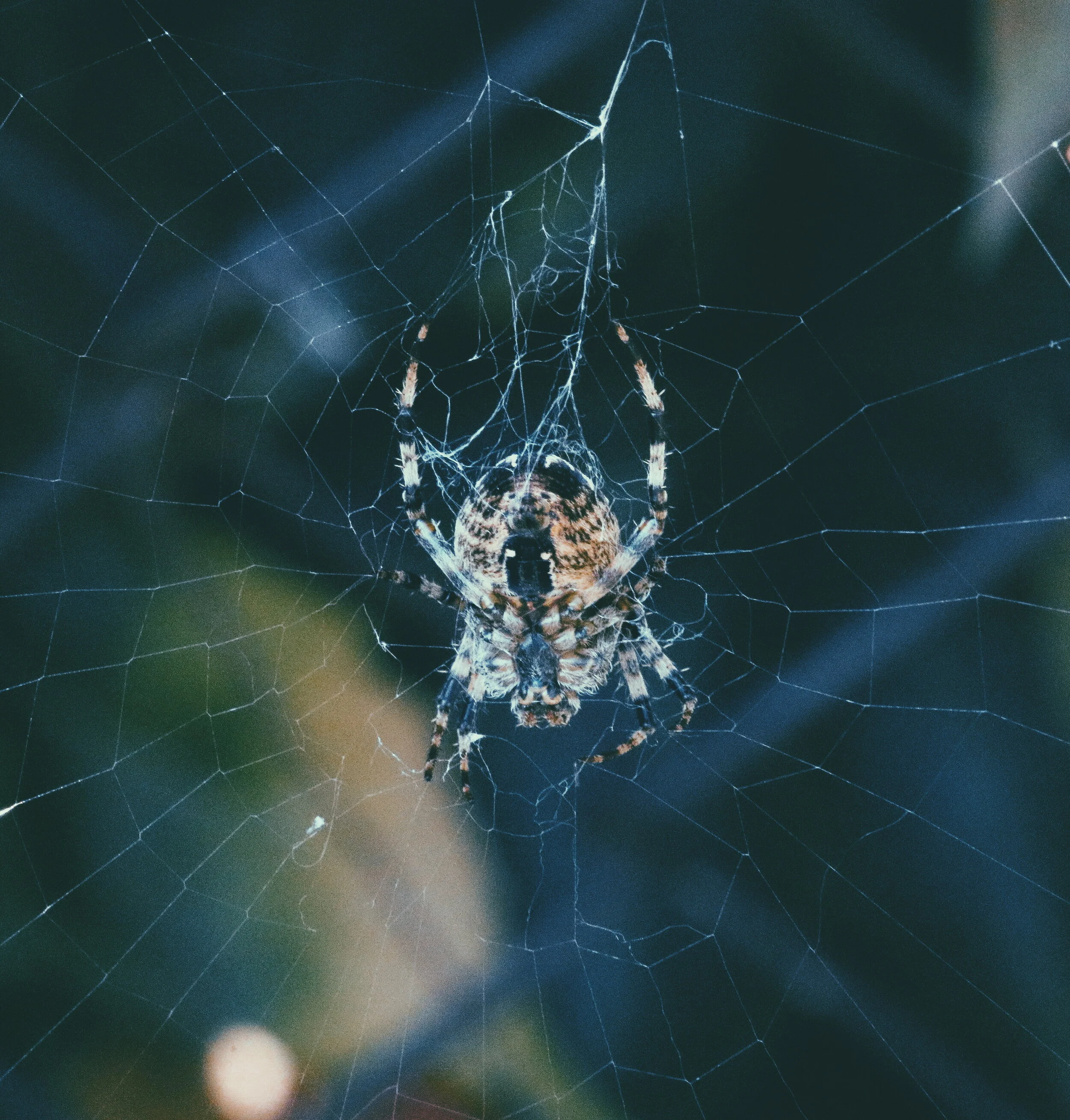 2018-09-23 01.43.08 1.jpg