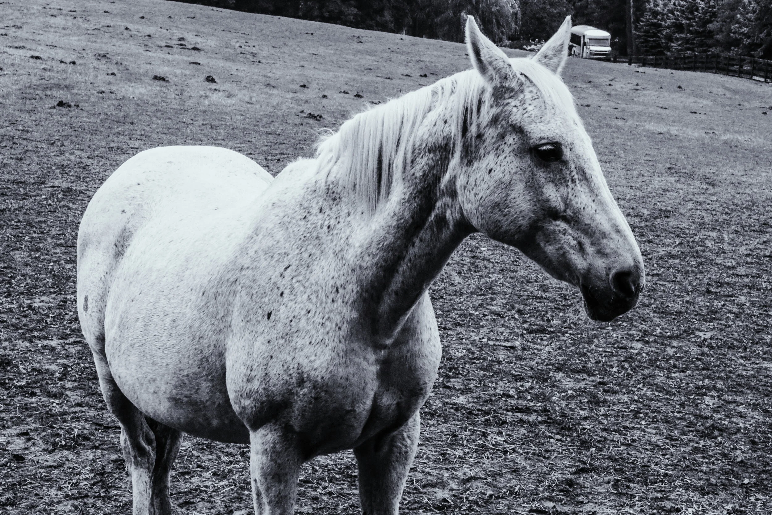 2018-10-07 07.44.04 1.jpg