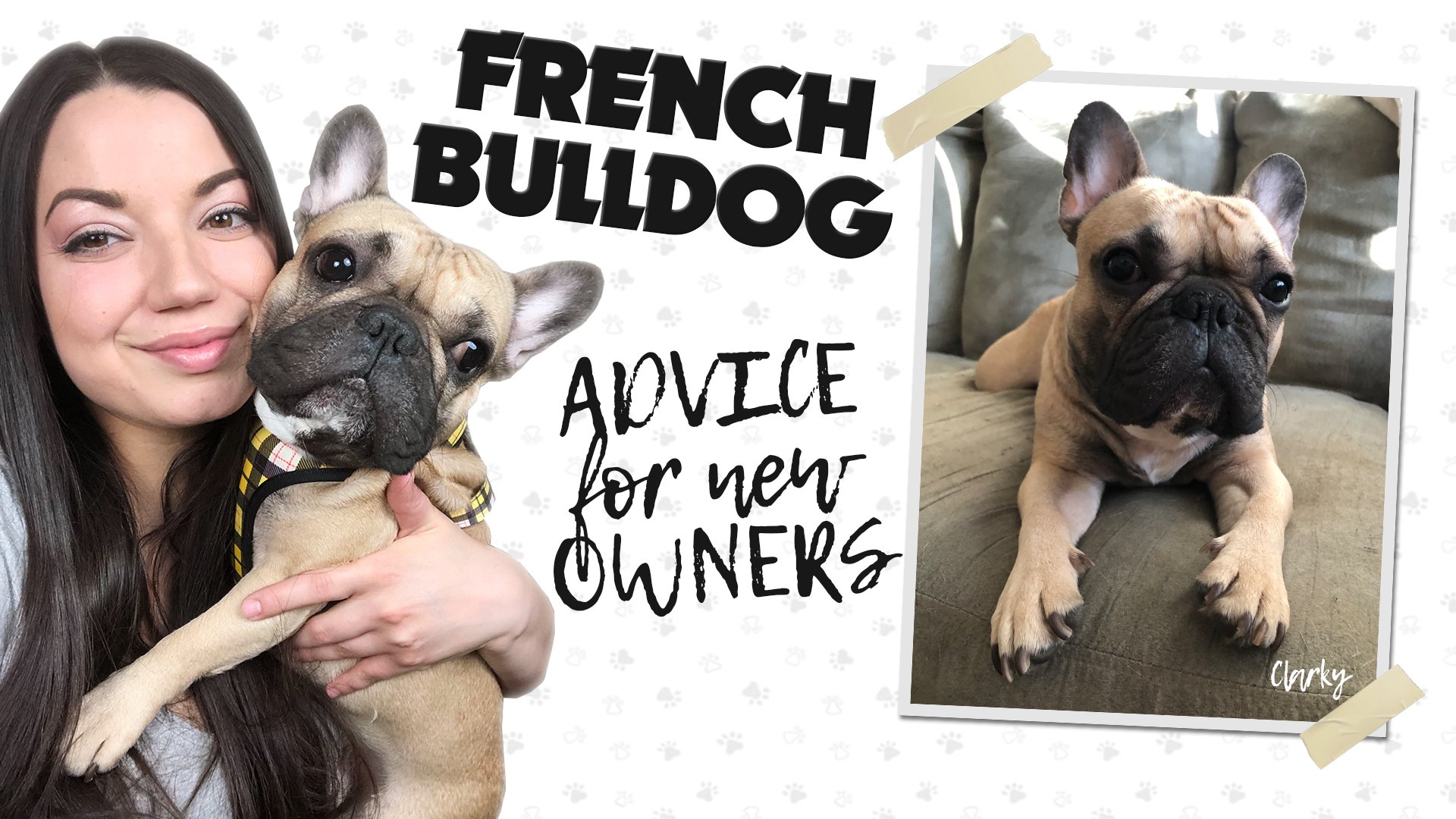 A woman with long dark hair holding a tan French Bulldog puppy with a black nose and large ears, smiling at the camera. To the right, another photo of a French Bulldog puppy lying on a couch, with a tan coat and black facial features. Text on the ima